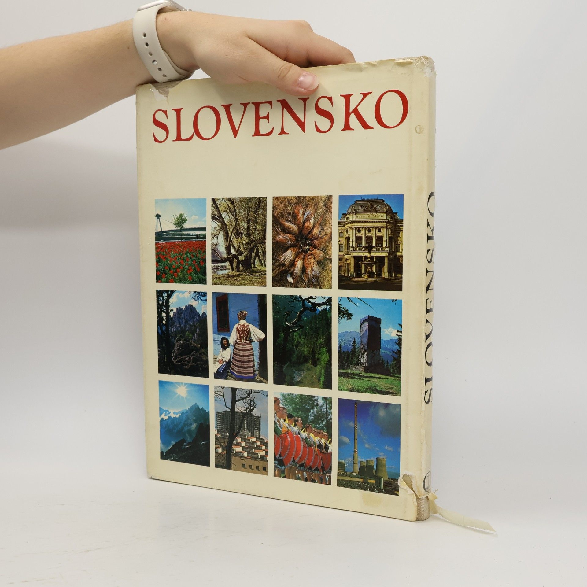 Štefan Pisoň Slovensko