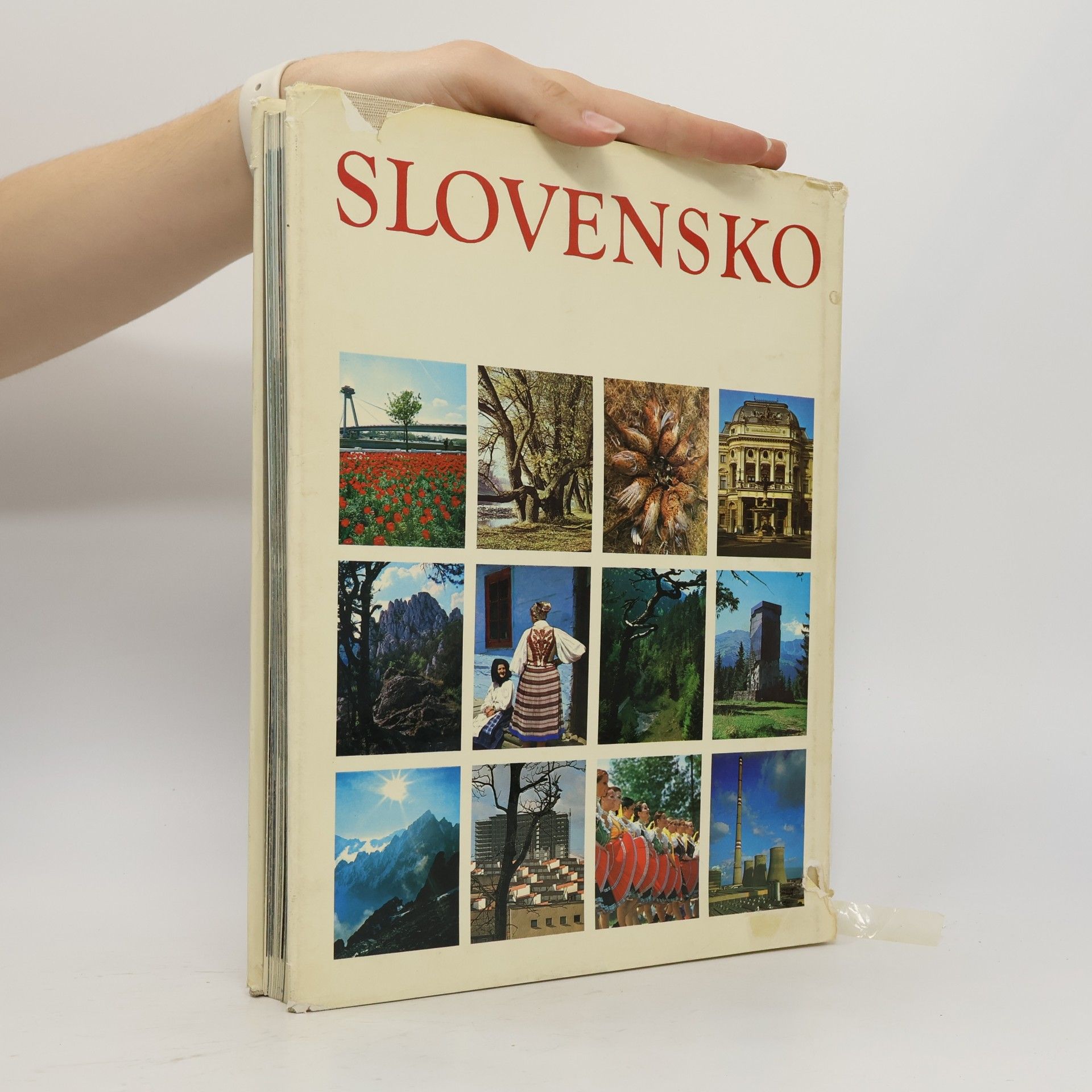 Štefan Pisoň Slovensko