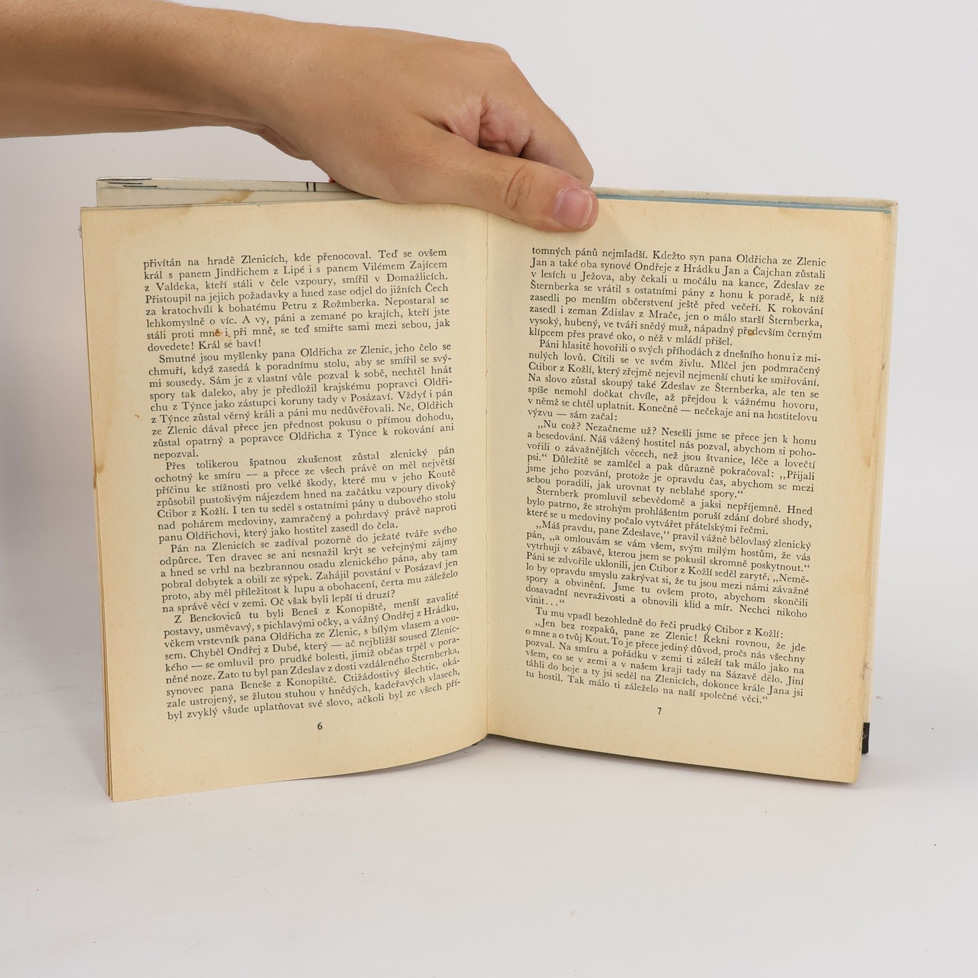 Radovan Šimáček Zločin na Zlenicích hradě L. P. 1318