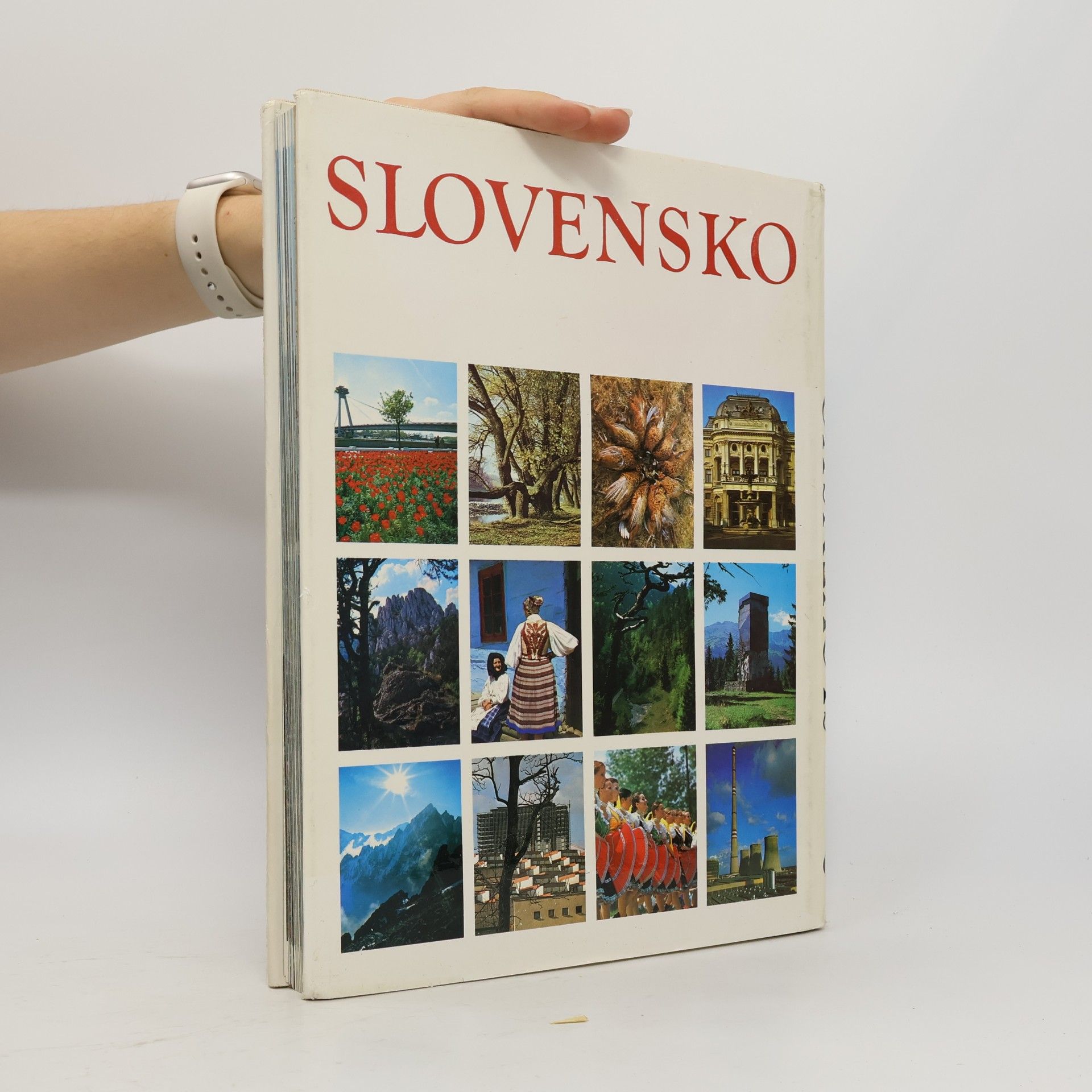 Autorenkollektiv Slovensko
