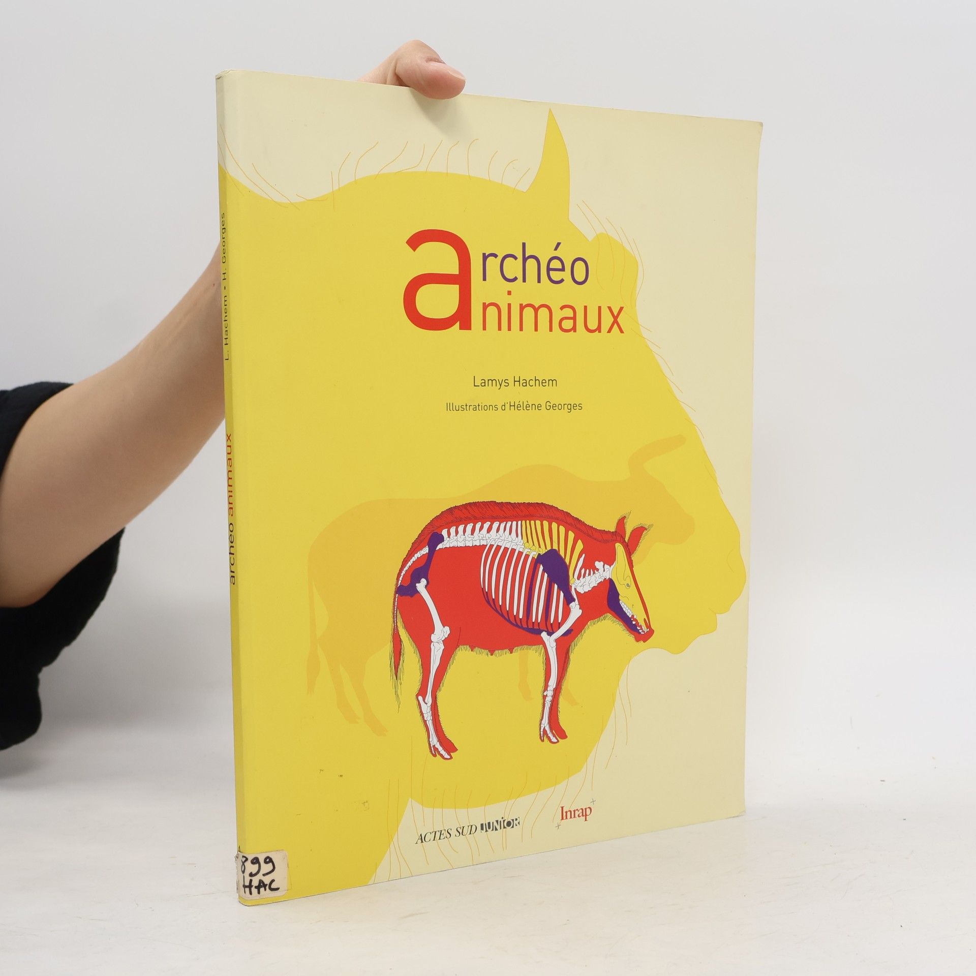 Archéo animaux