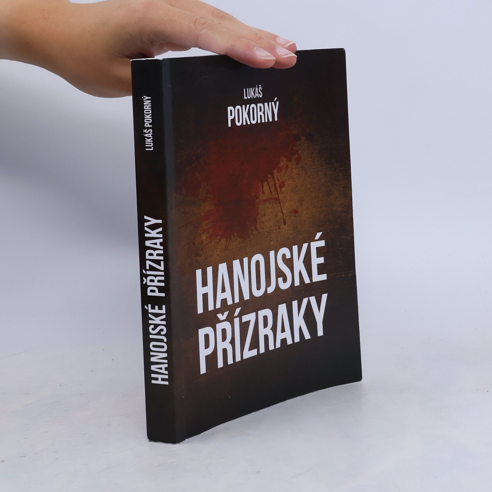 Lukas Pokorny Hanojské přízraky