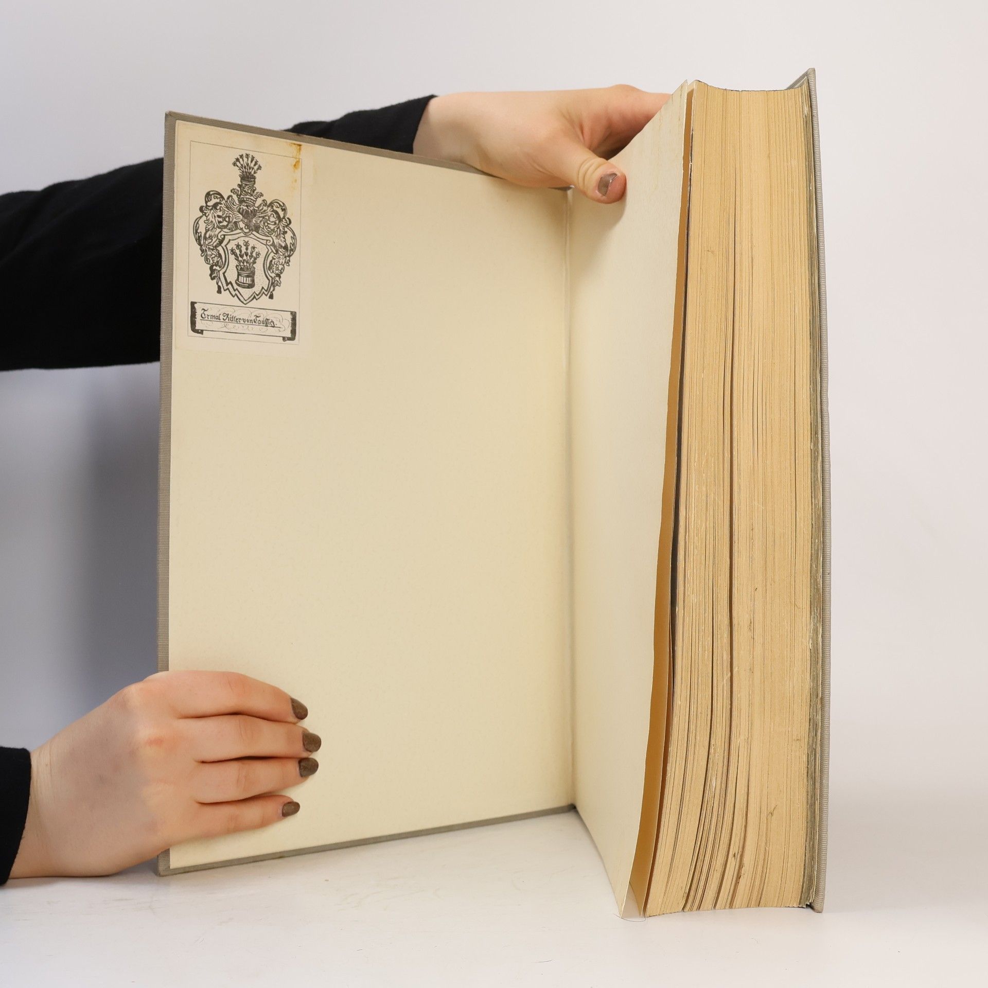 Collectif d'auteurs Armáda a národ