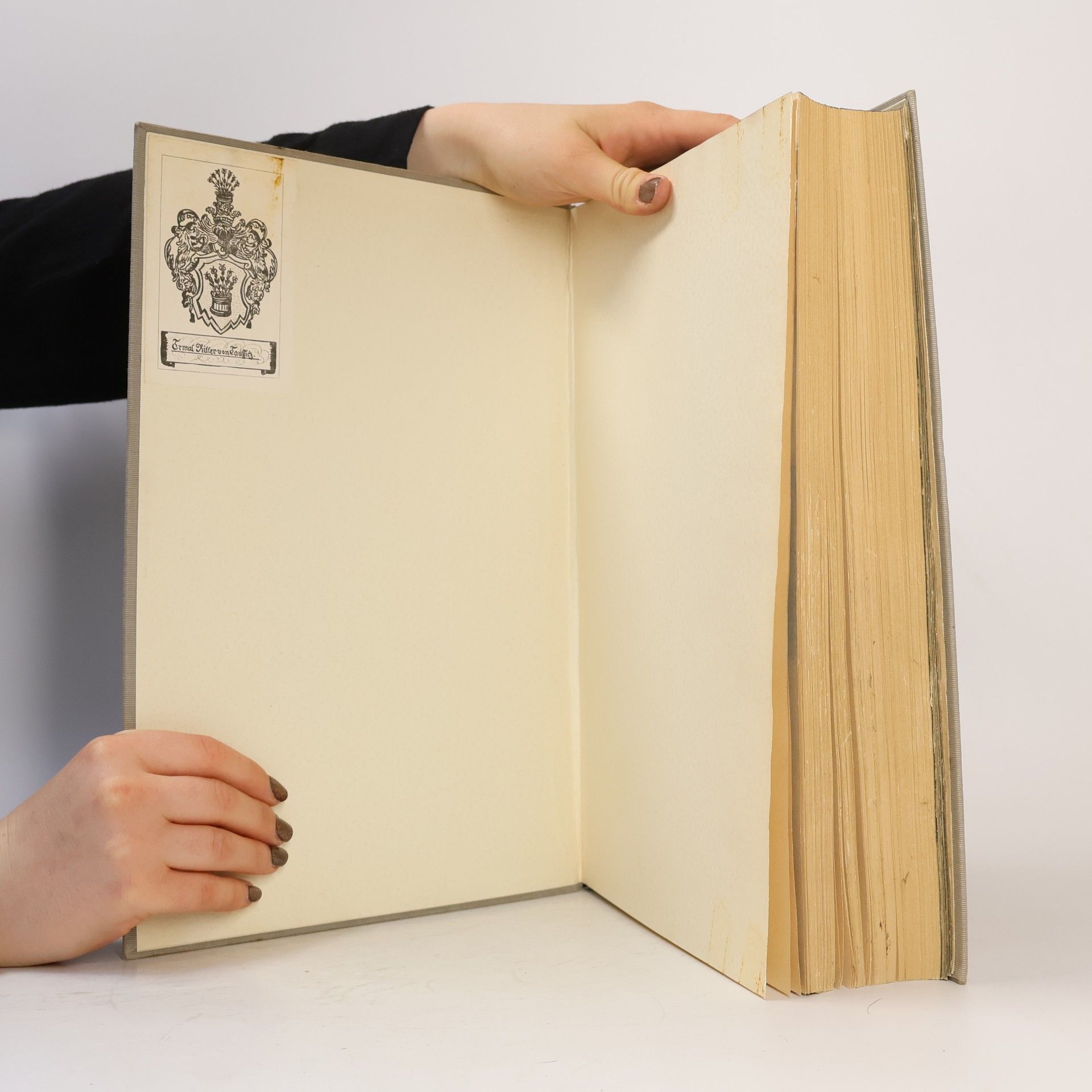 Collectif d'auteurs Armáda a národ