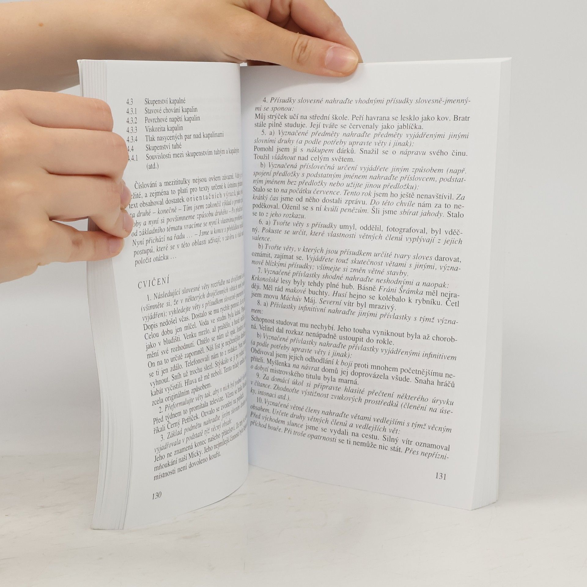 Autorenkollektiv Český jazyk pro střední školy I.-IV. ročník
