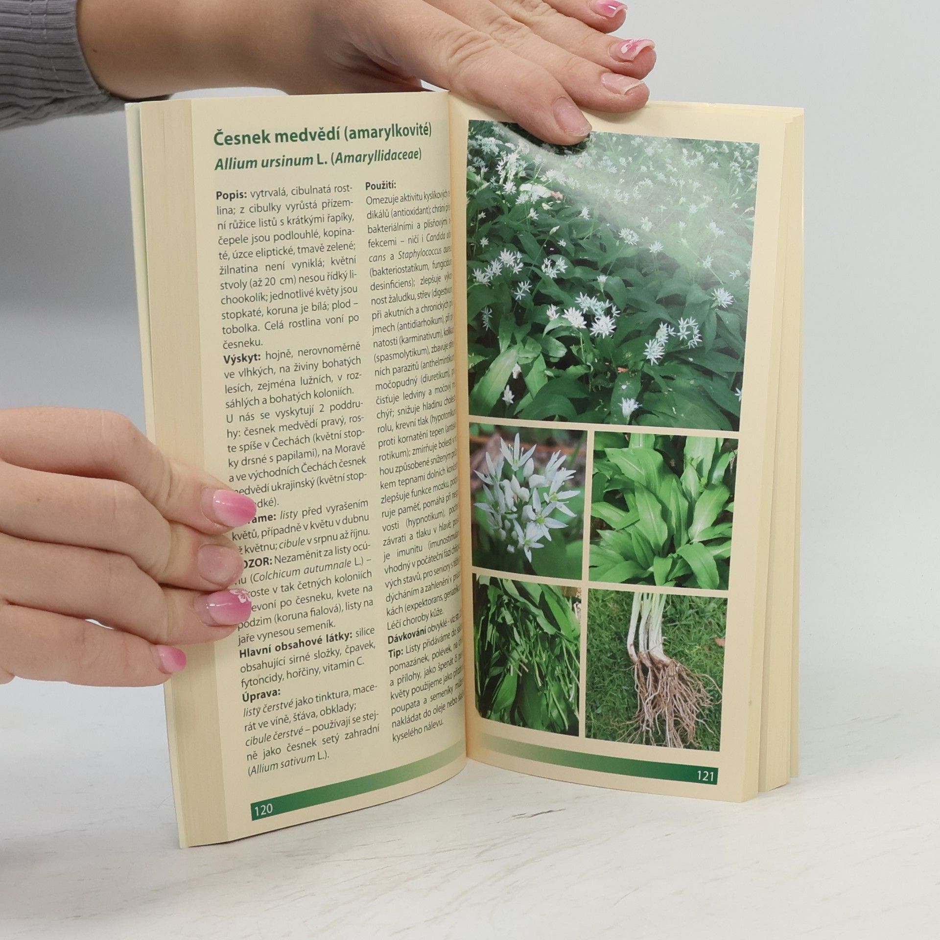 Věra Žďárská Léčivé rostliny pěstujeme - sbíráme - využíváme