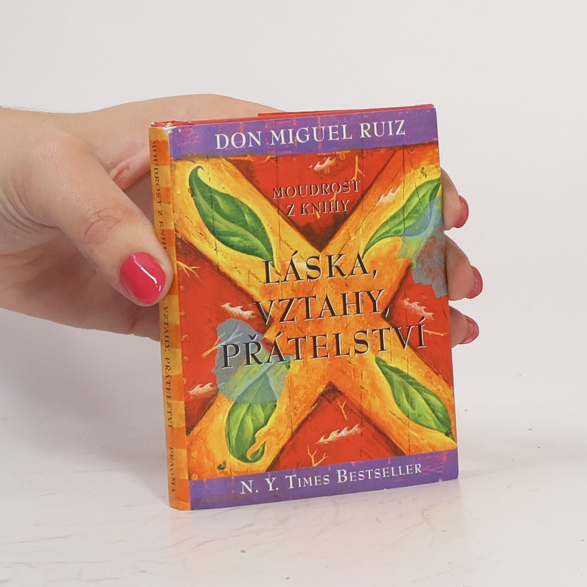 Don Miguel Ruiz Moudrost z knihy Láska, vztahy, přátelství
