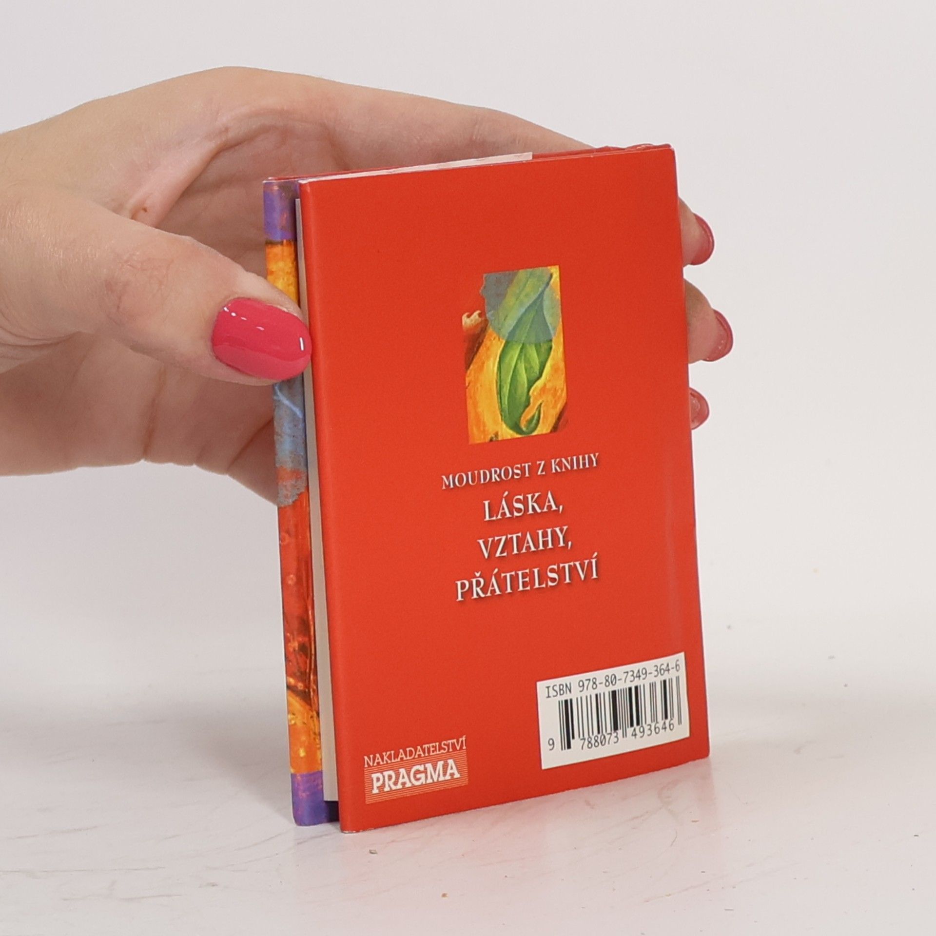 Don Miguel Ruiz Moudrost z knihy Láska, vztahy, přátelství