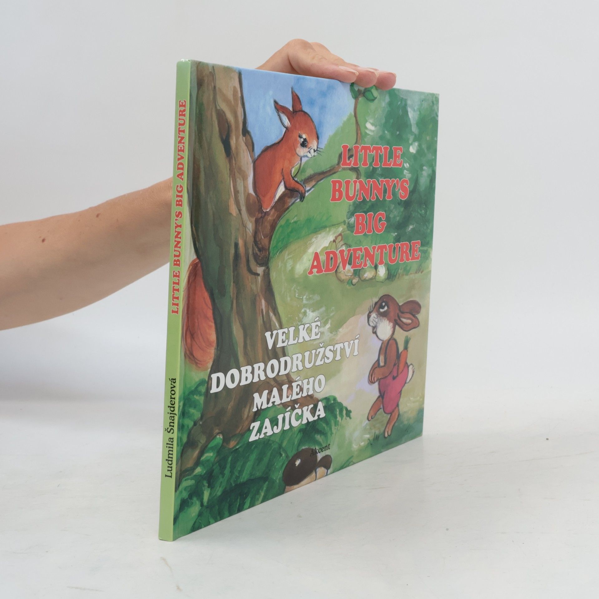 Ludmila Šnajderová Velké dobrodružství malého zajíčka