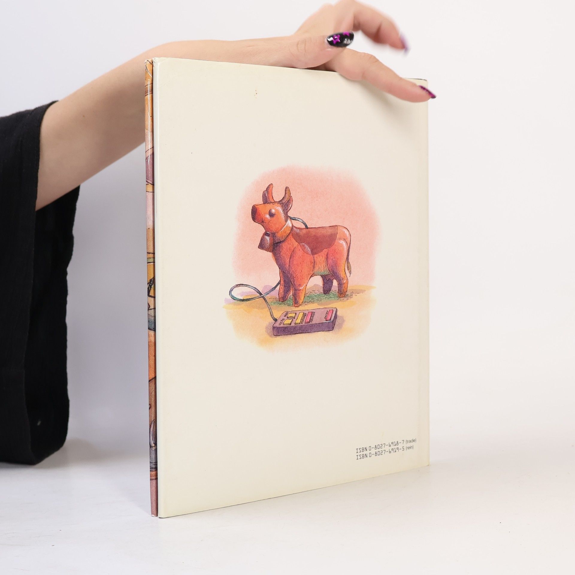 Kate Morgan The Story of Things