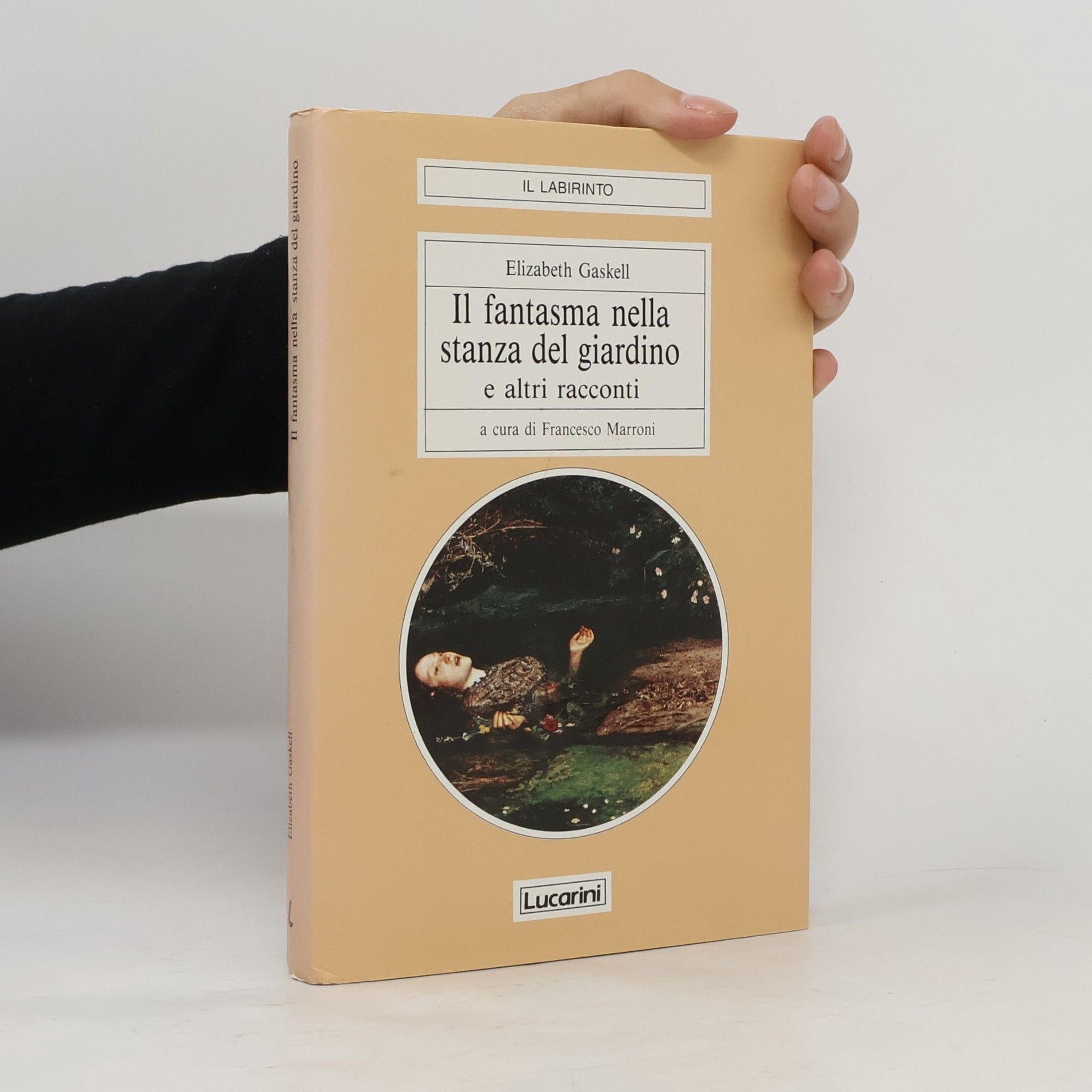 Il Labirinto: Il fantasma nella stanza del giardino e altri racconti a cura di Francesco Marroni