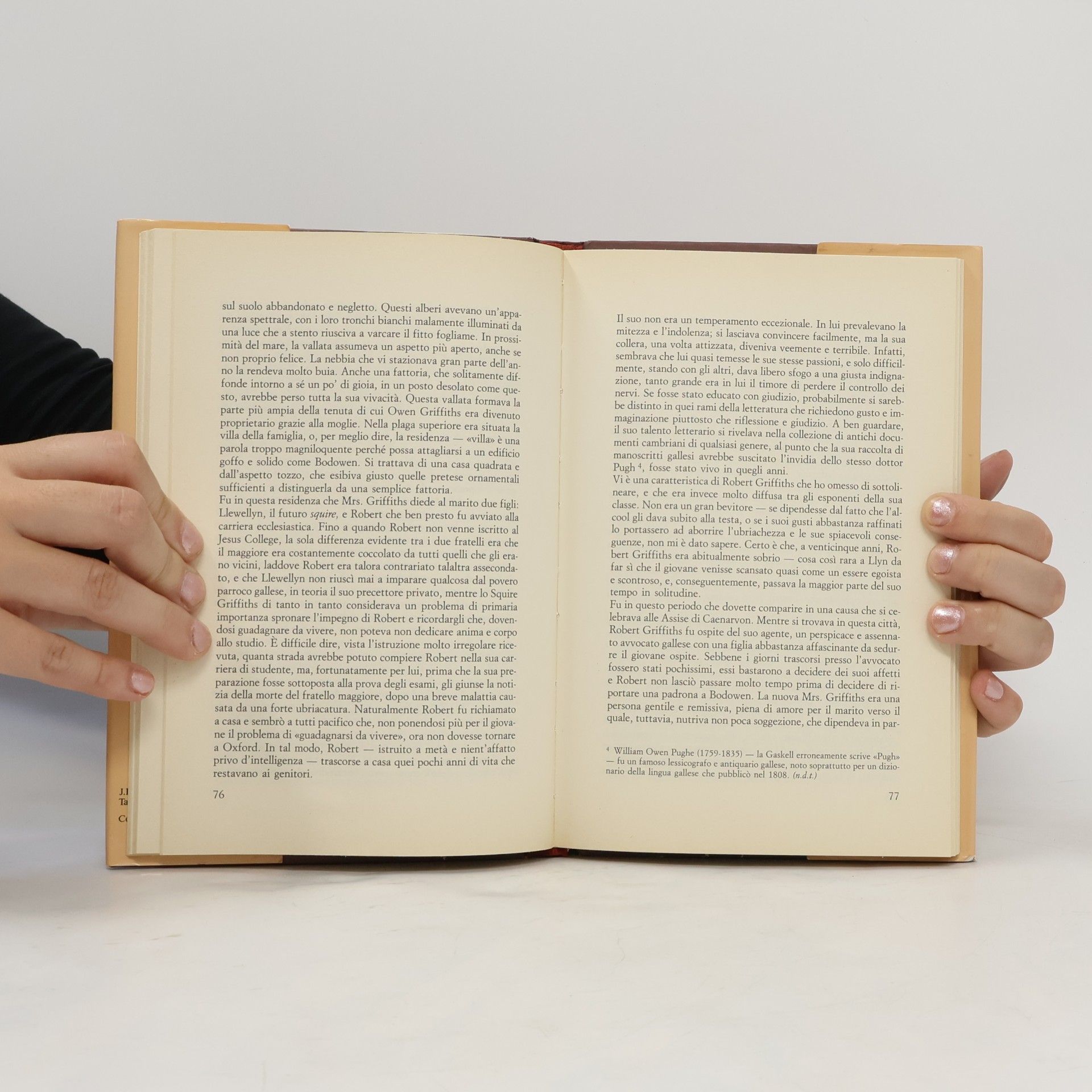 Elizabeth C. Gaskell Il Labirinto: Il fantasma nella stanza del giardino e altri racconti a cura di Francesco Marroni