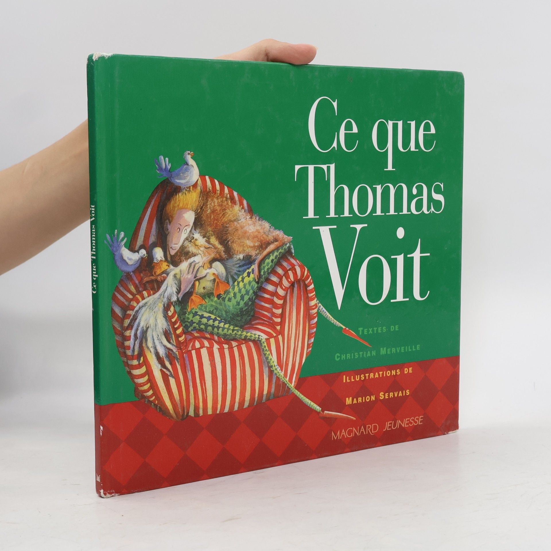 Marion Servais Ce que Thomas voit