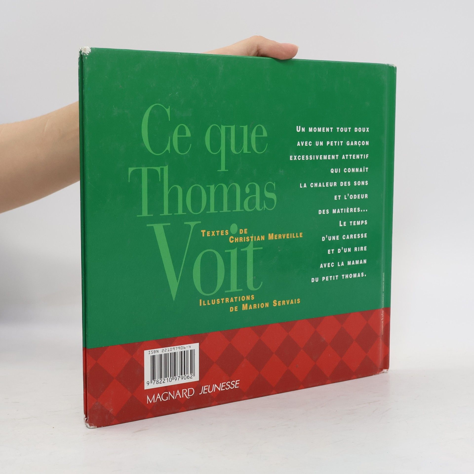 Christian Merveille Ce que Thomas voit
