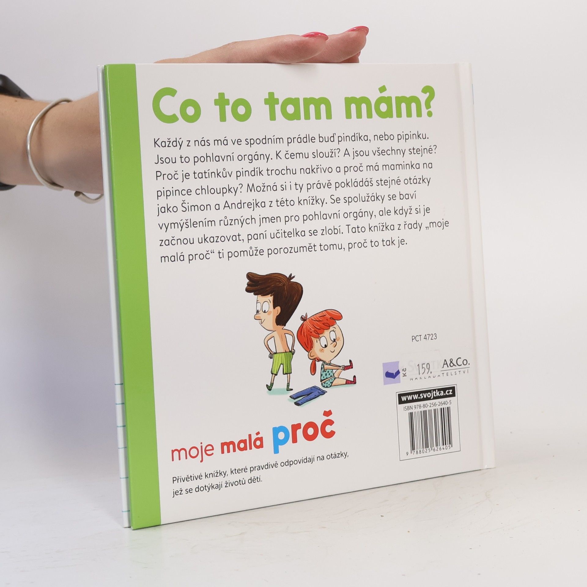 Camille Laurans Co to tam mám?