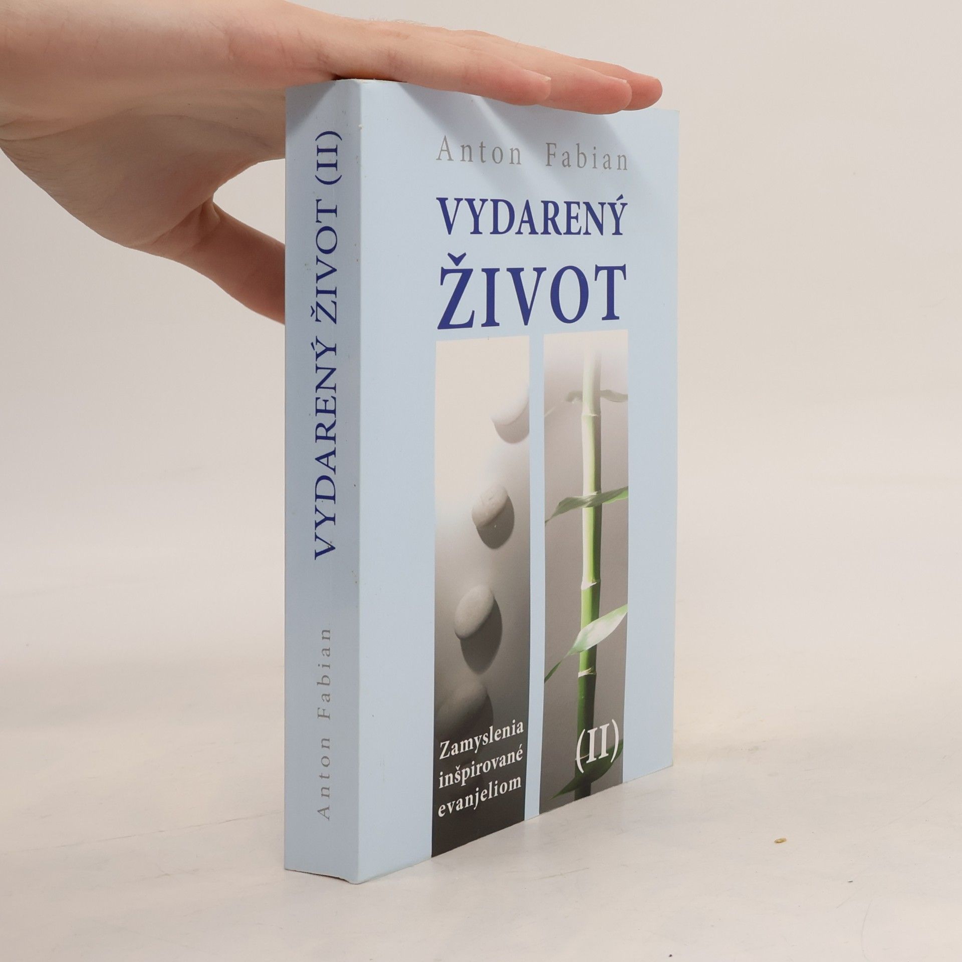 Anton Fabian Vydarený život II. : zamyslenia inšpirované evanjeliom