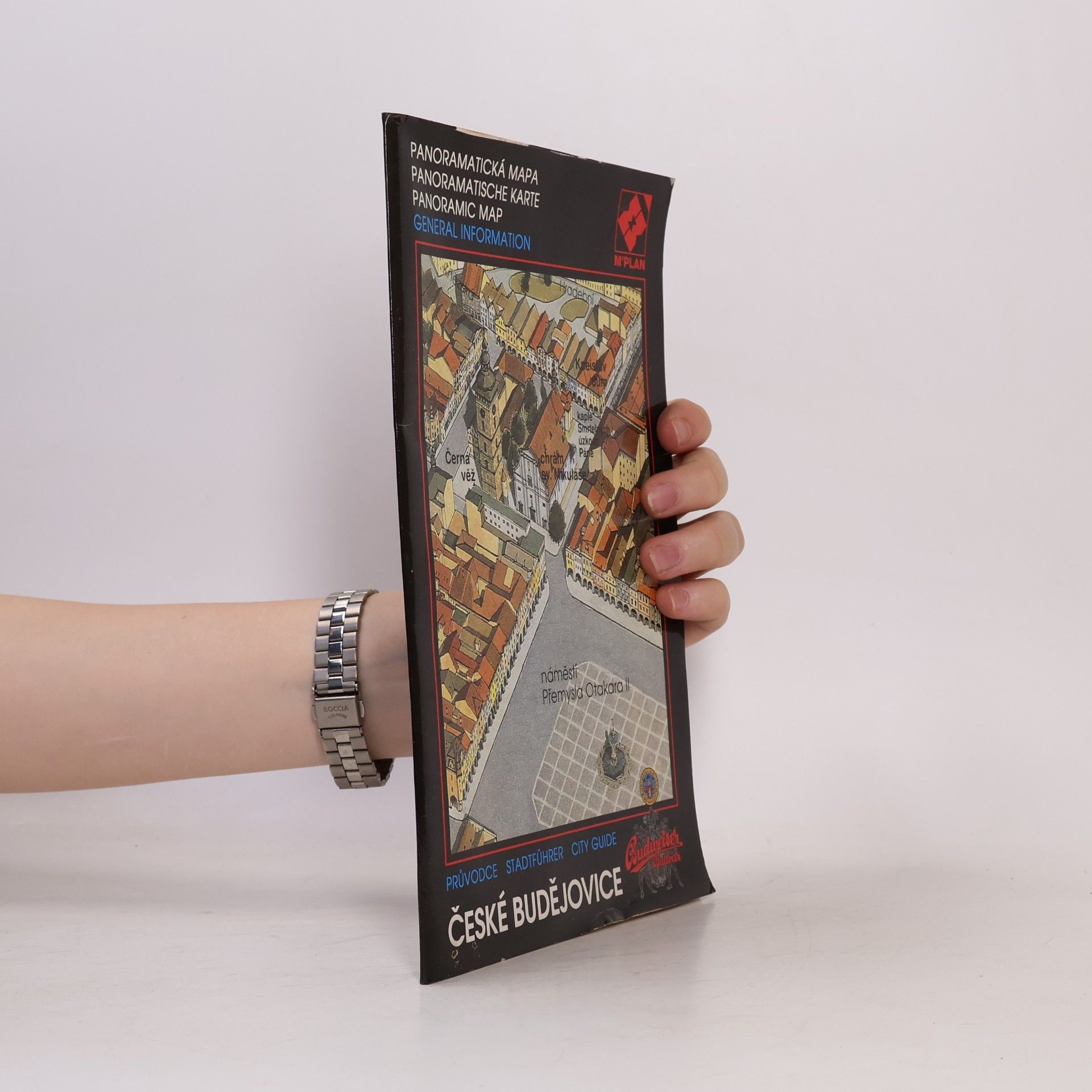 Autorenkollektiv České Budějovice. Panoramatická mapa. Průvodce městem