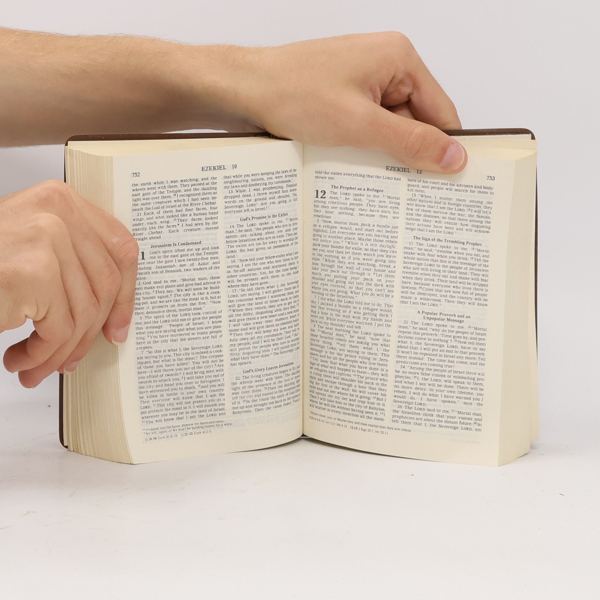 Kolektiv autorů Holy Bible, Good News Edition