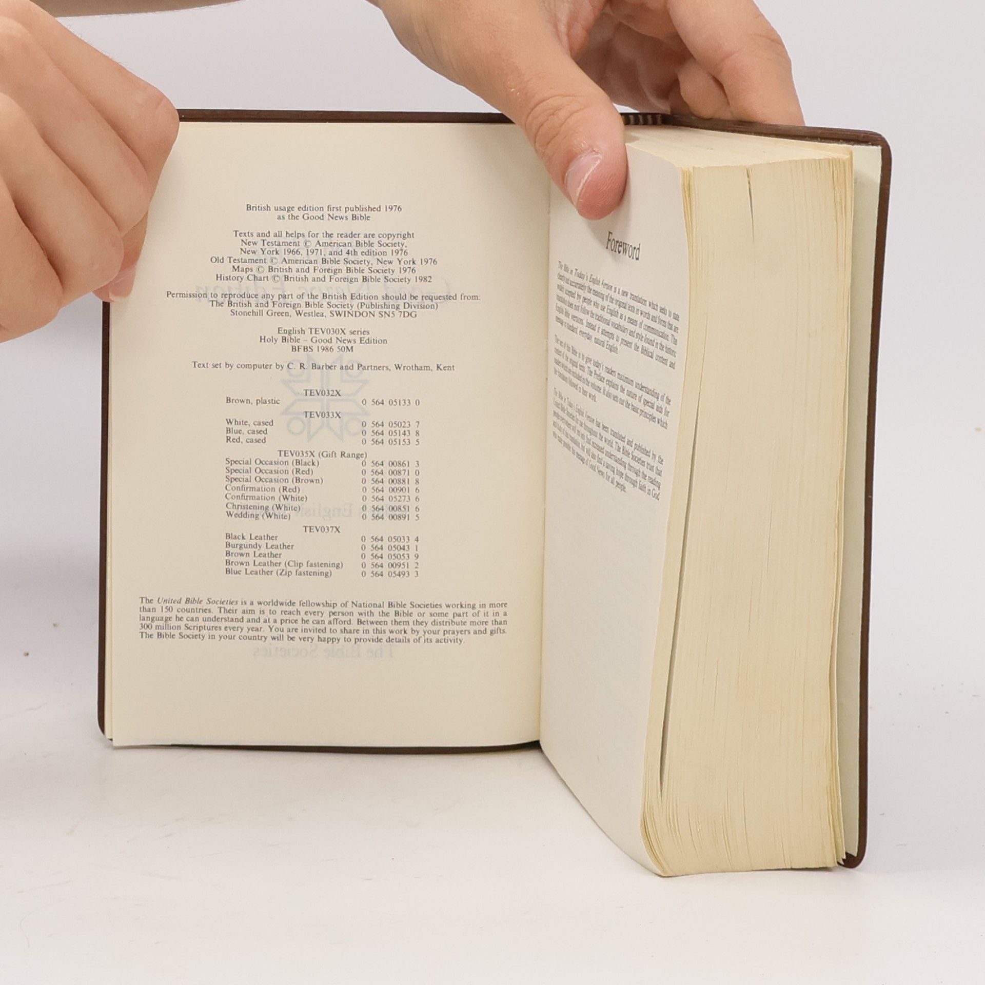 Kolektiv autorů Holy Bible, Good News Edition