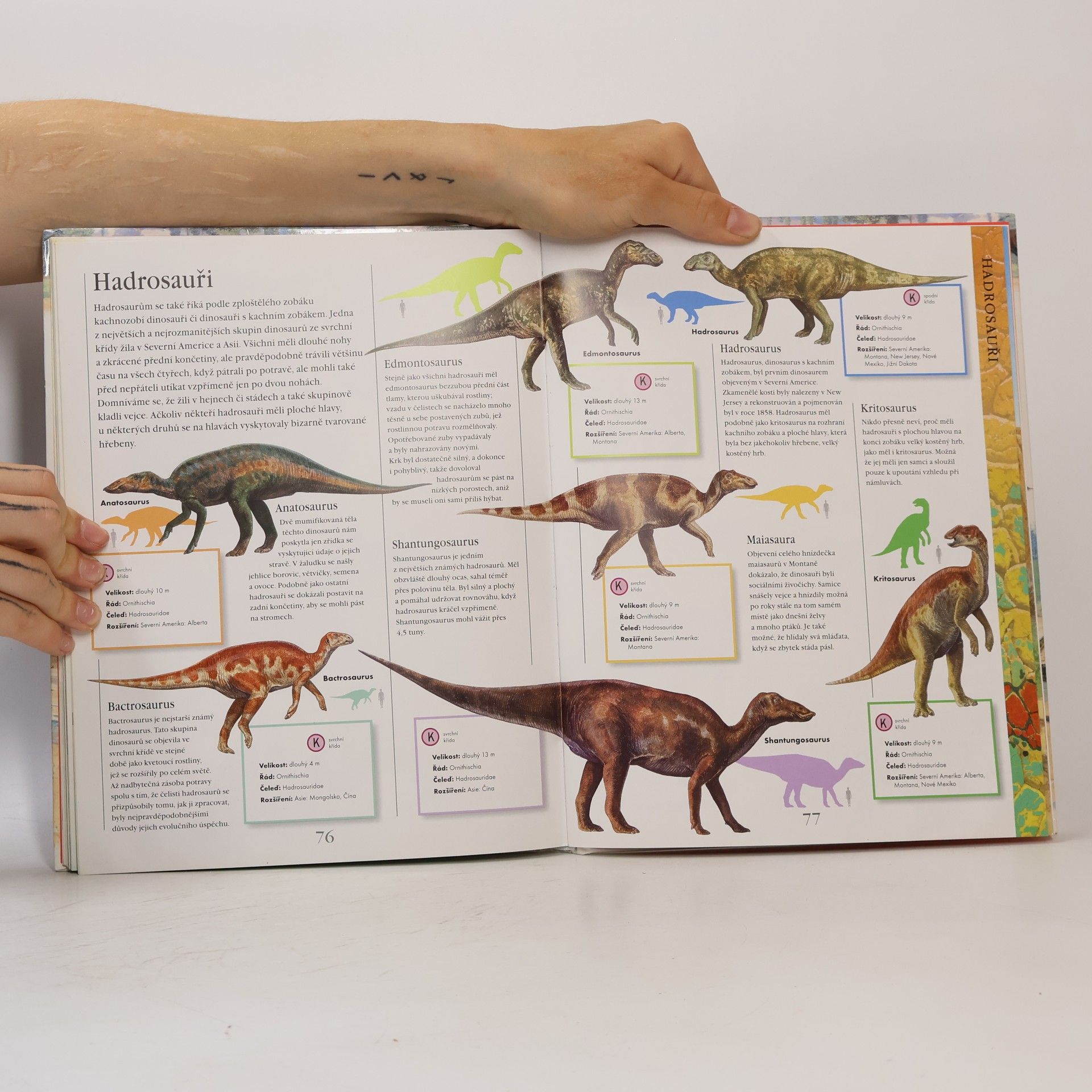 Jinny Johnson Dinosauři