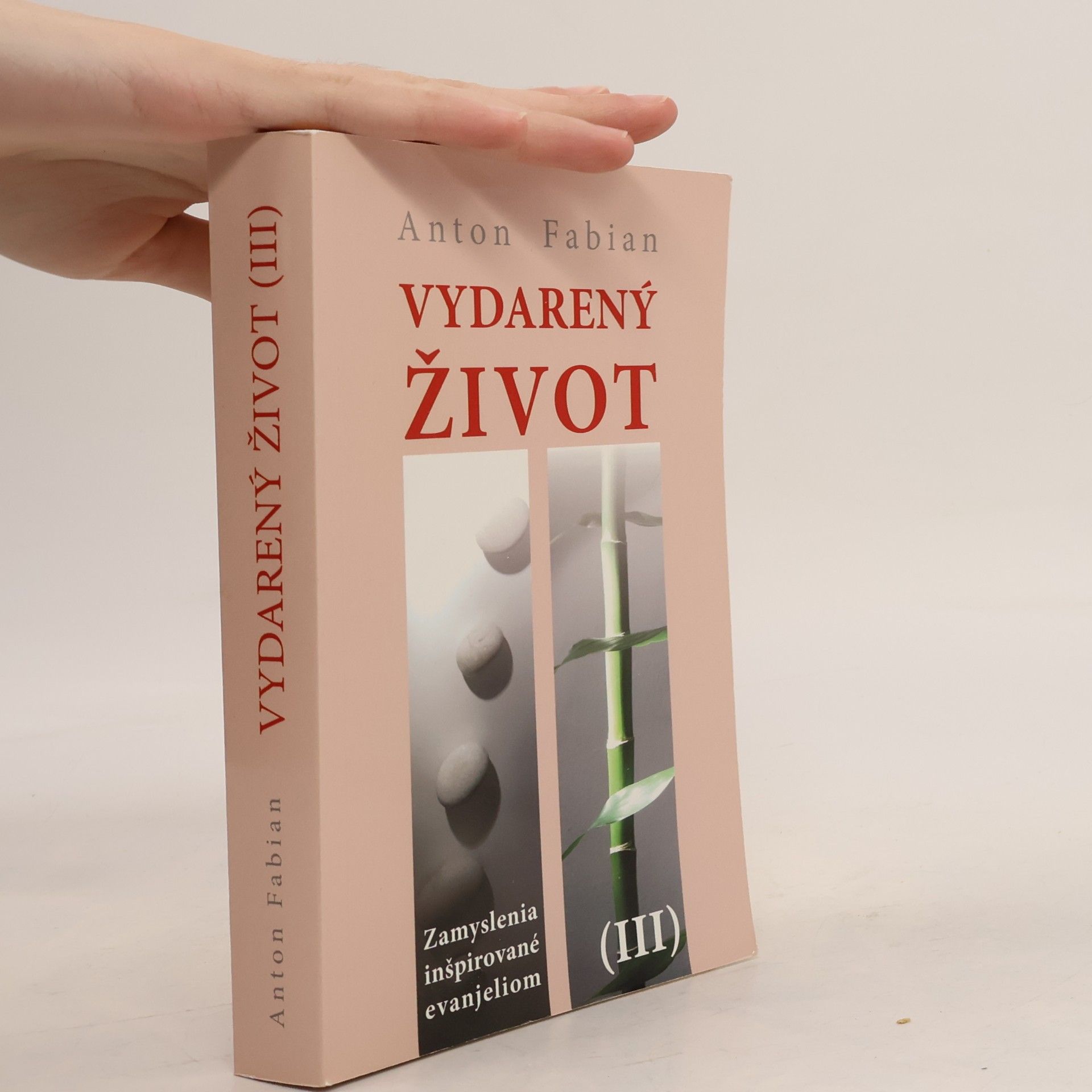 Anton Fabian Vydarený život III (Zamyslenia inšpirované evanjeliom)