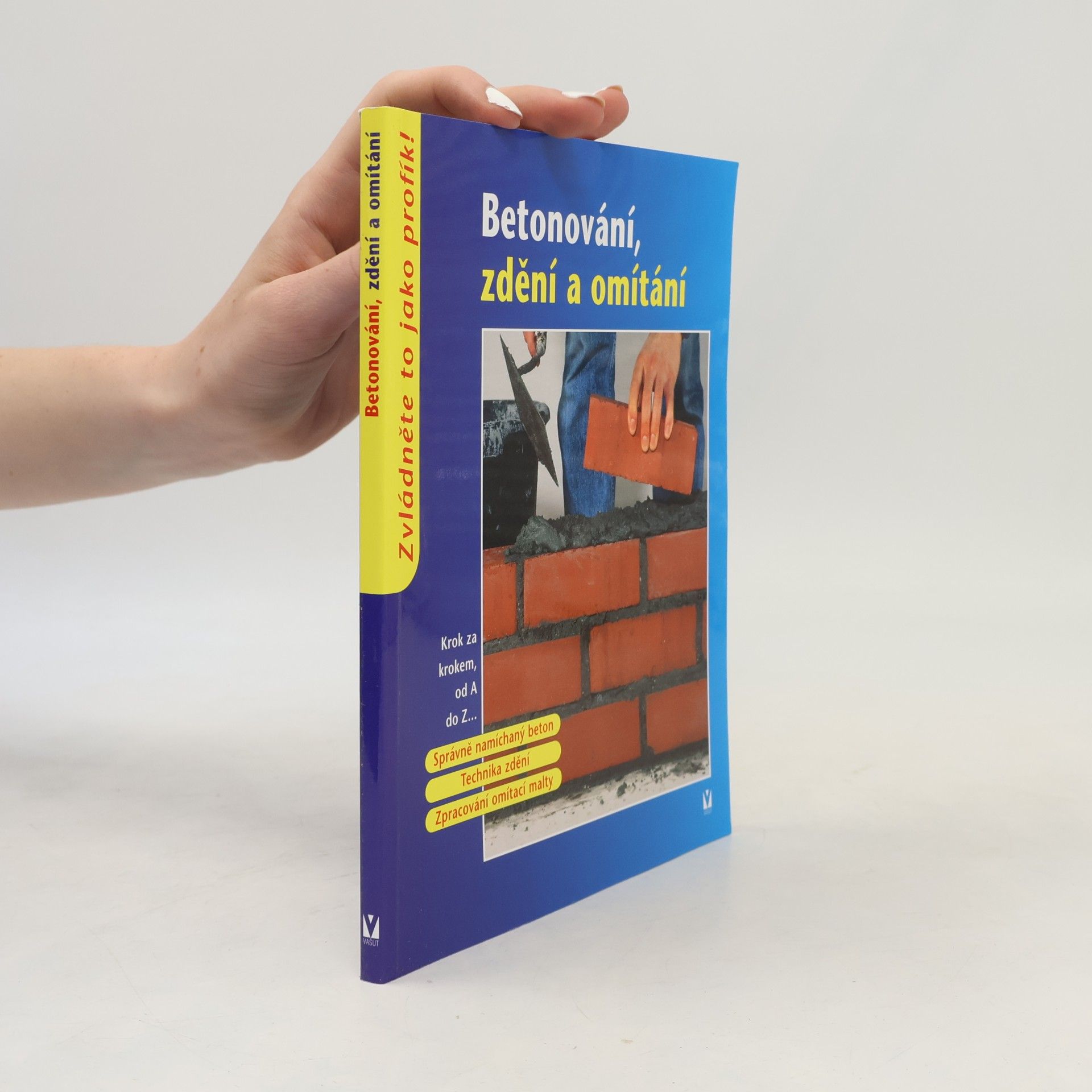 Collectif d'auteurs Betonování, zdění a omítání