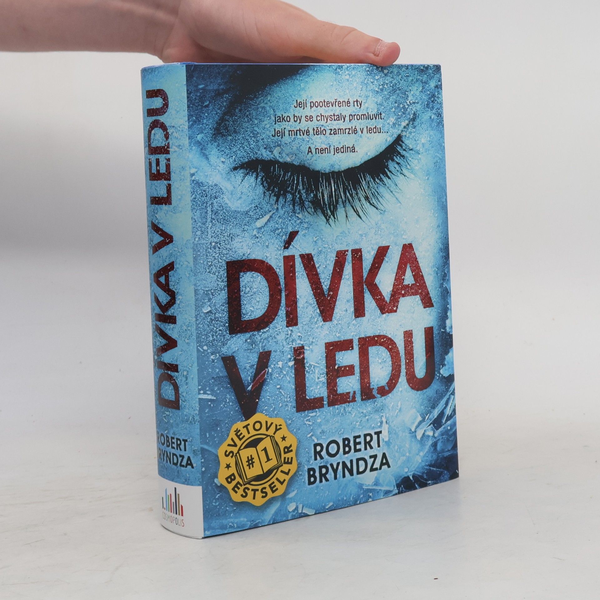 Robert Bryndza Dívka v ledu