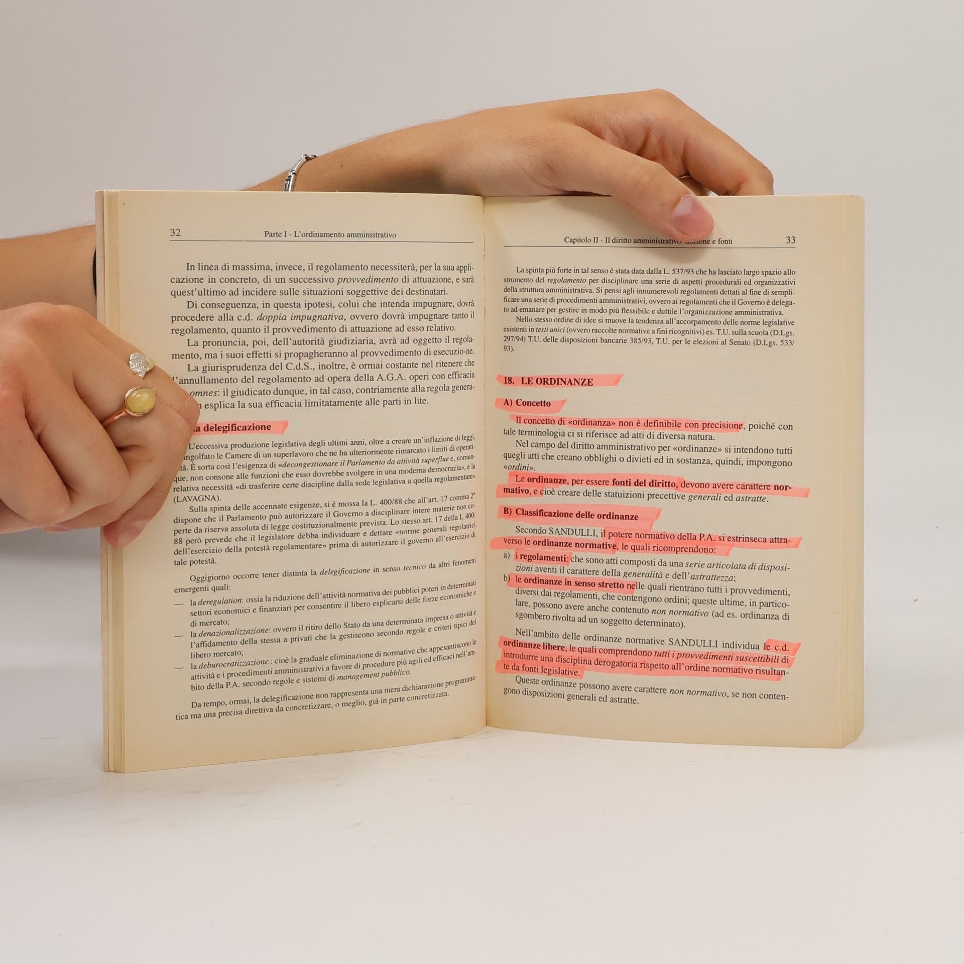 L. Delpino Elementi di diritto amministrativo 217