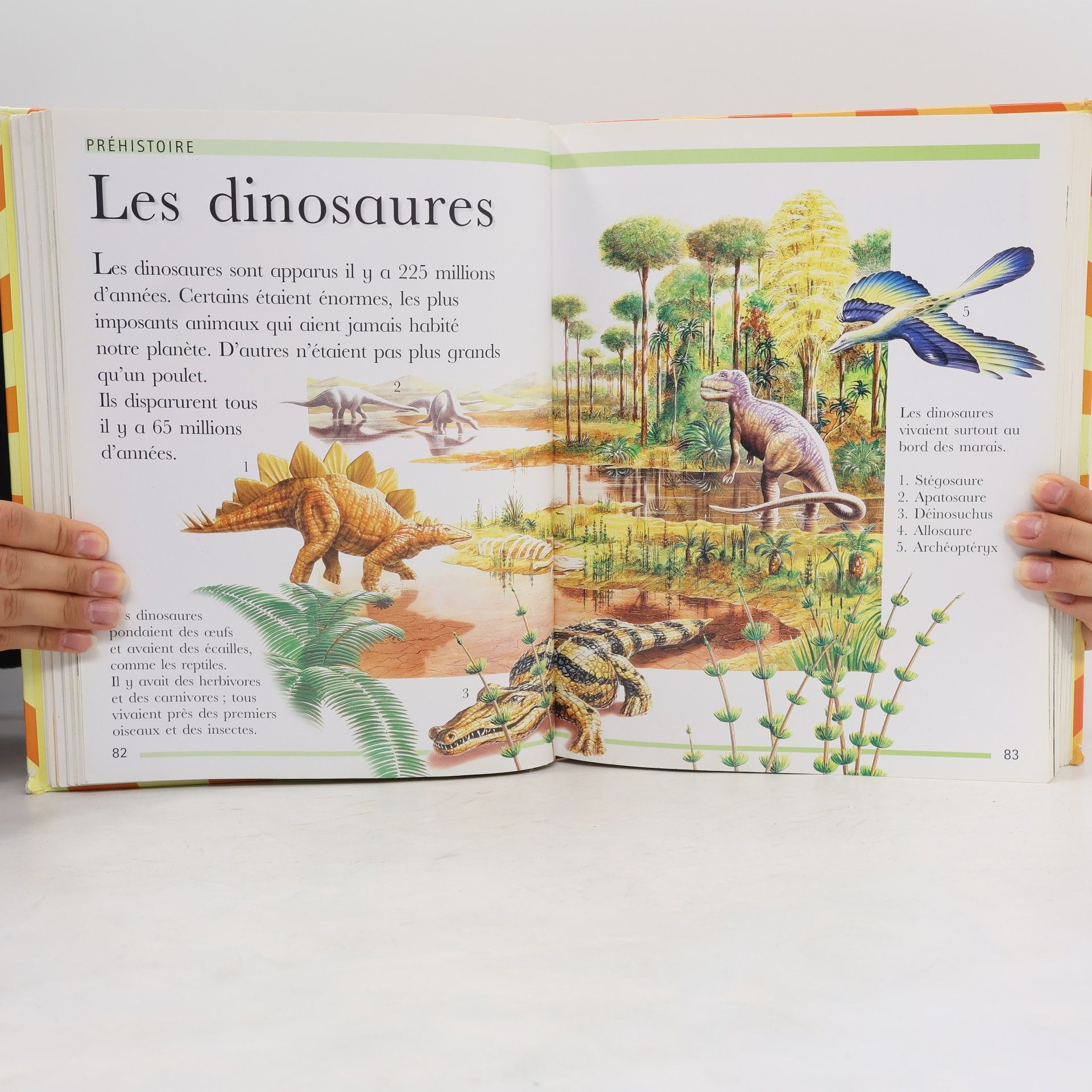 John Farndon Ma grande encyclopédie 5-8 ans