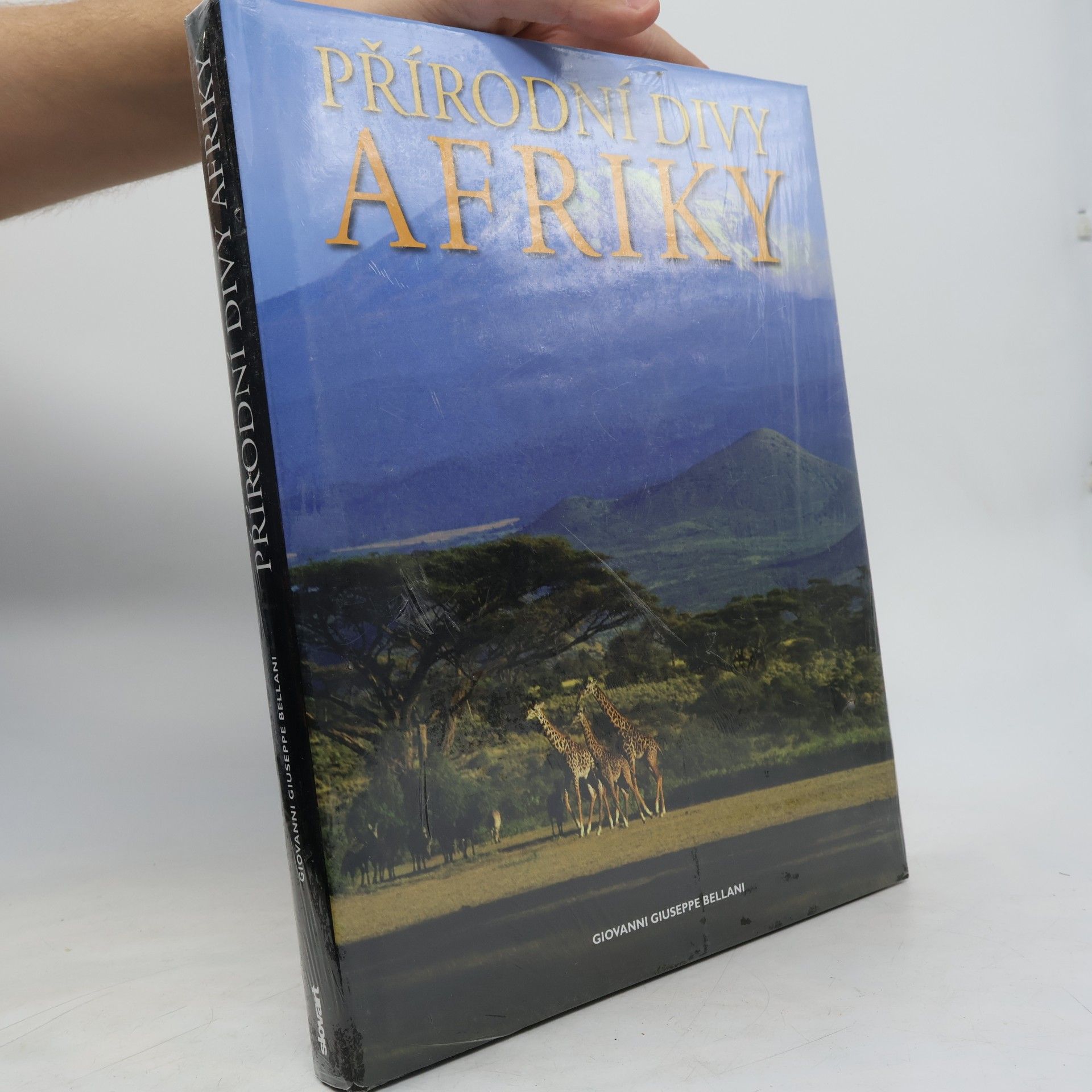 Giovanni Giuseppe Bellani Přírodní divy Afriky