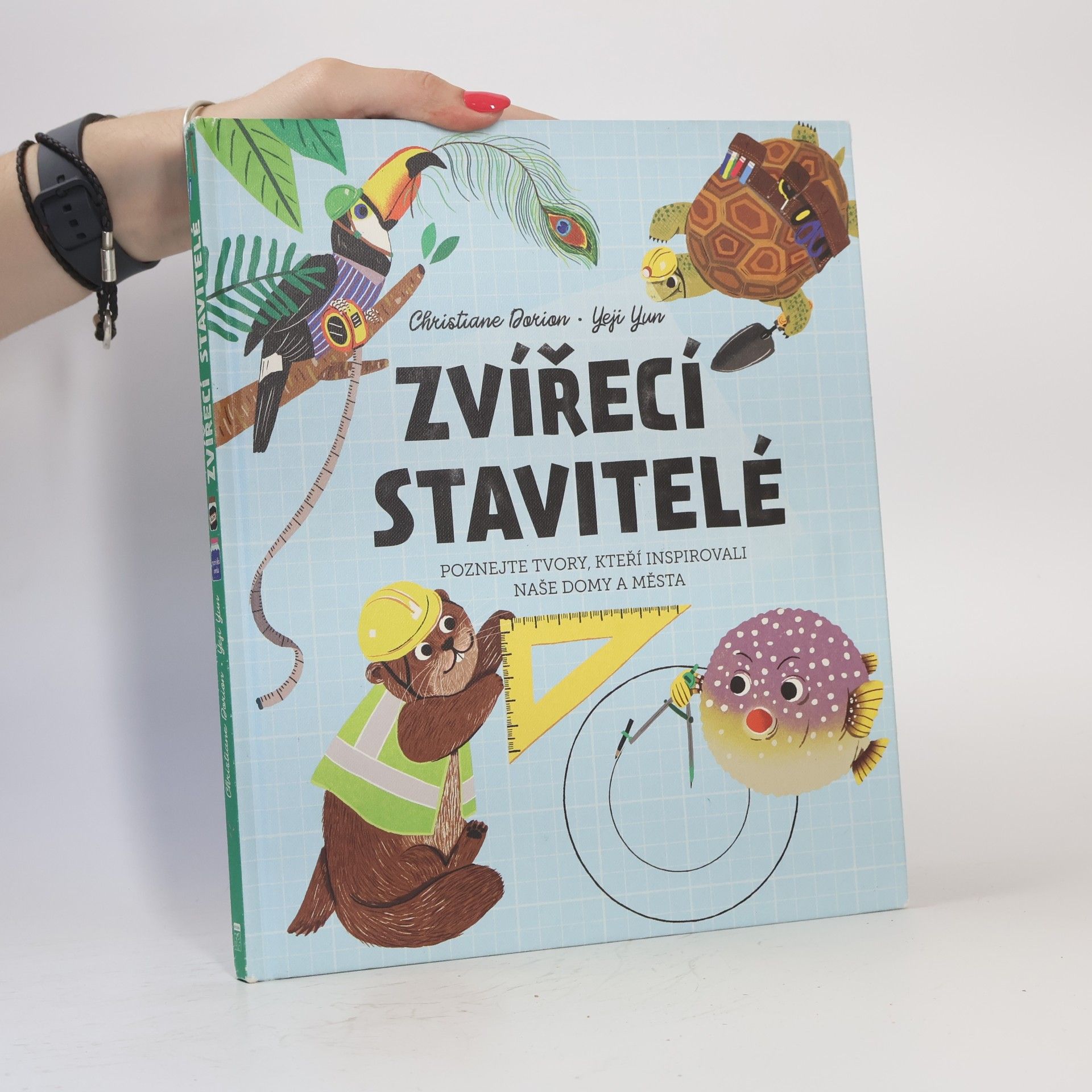 Zvířecí stavitelé - Poznejte tvory, kteří inspirovali naše domy a města
