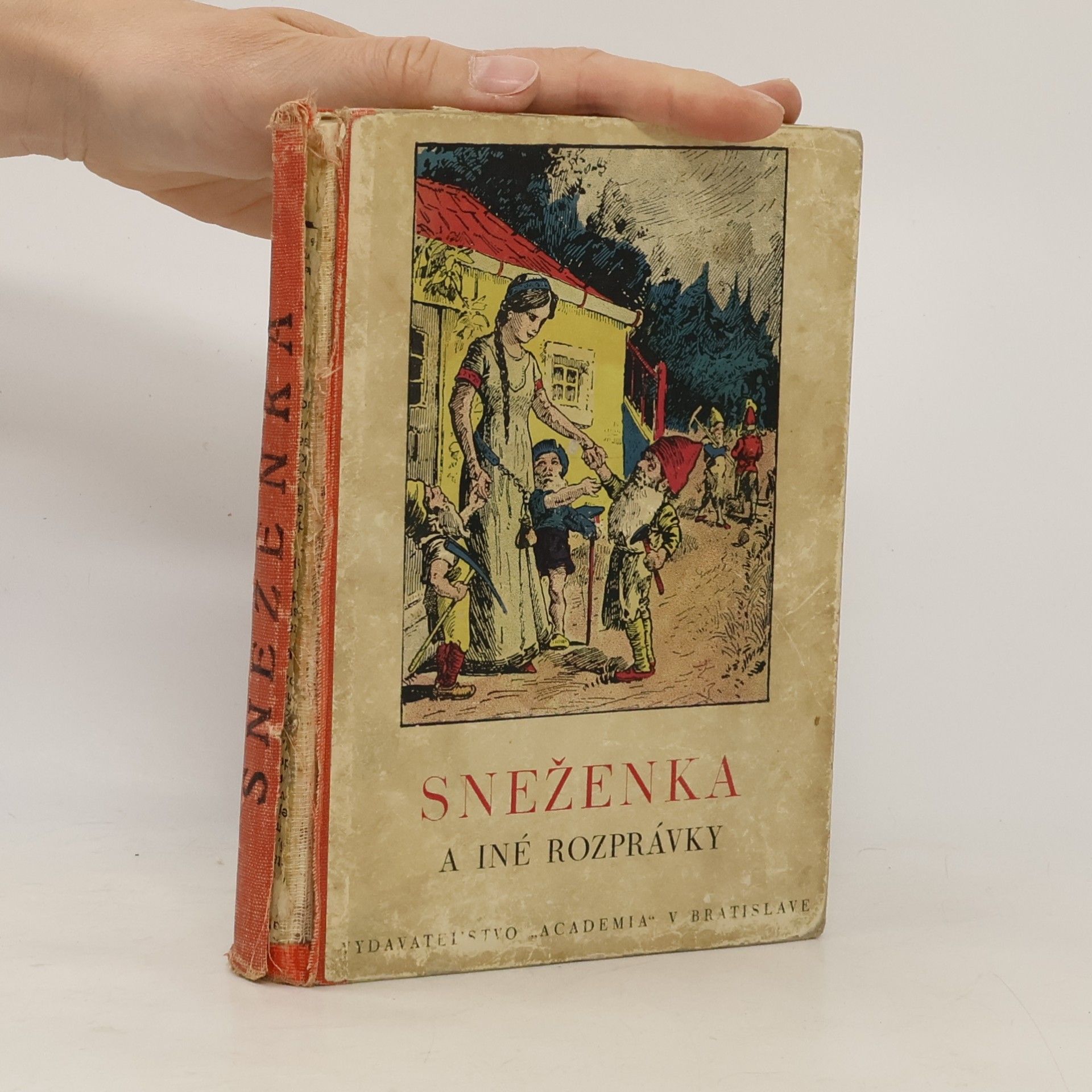 Autorenkollektiv Sneženka a iné rozprávky