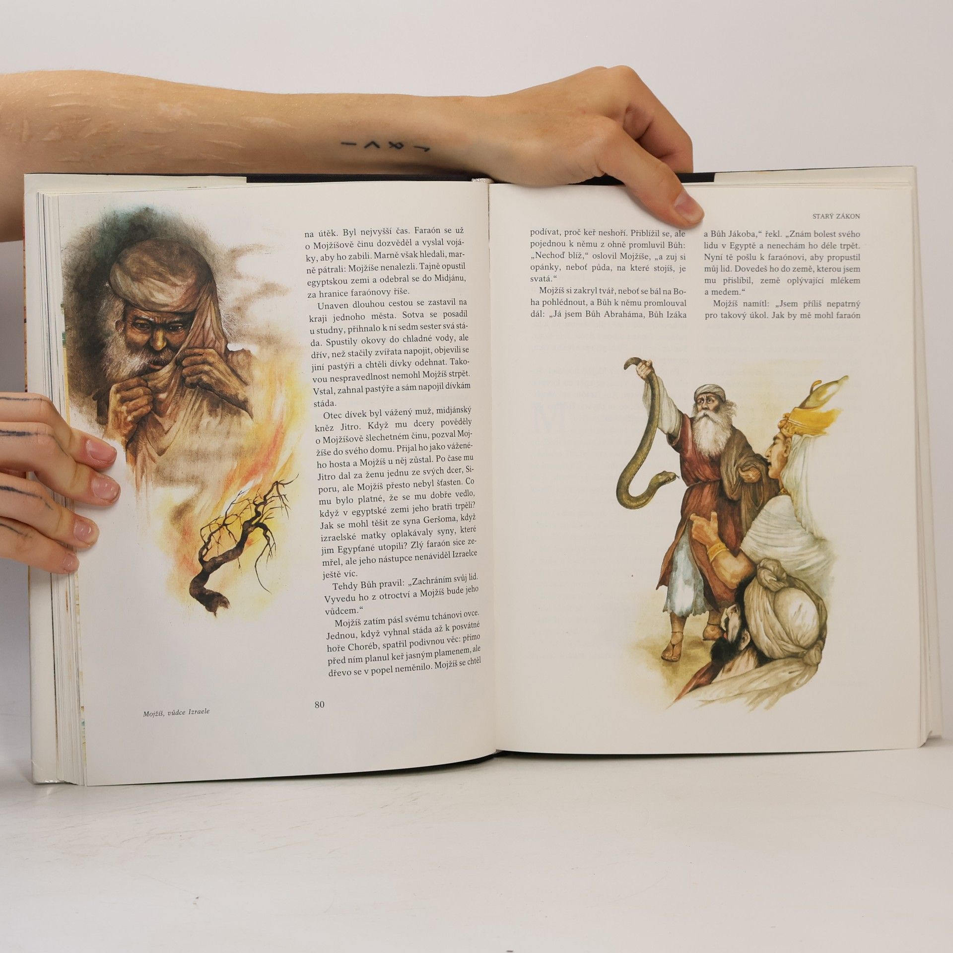 Leo Pavlát Příběhy z Bible