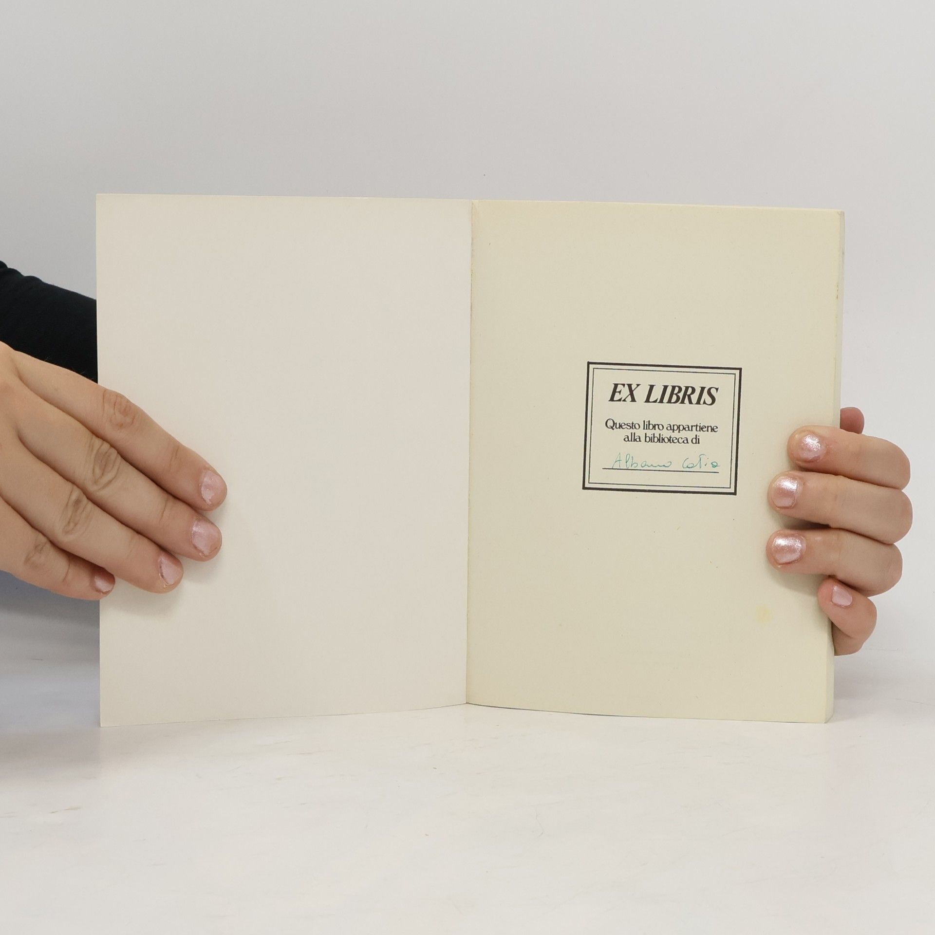 Gustave Flaubert Le cento pagine più belle