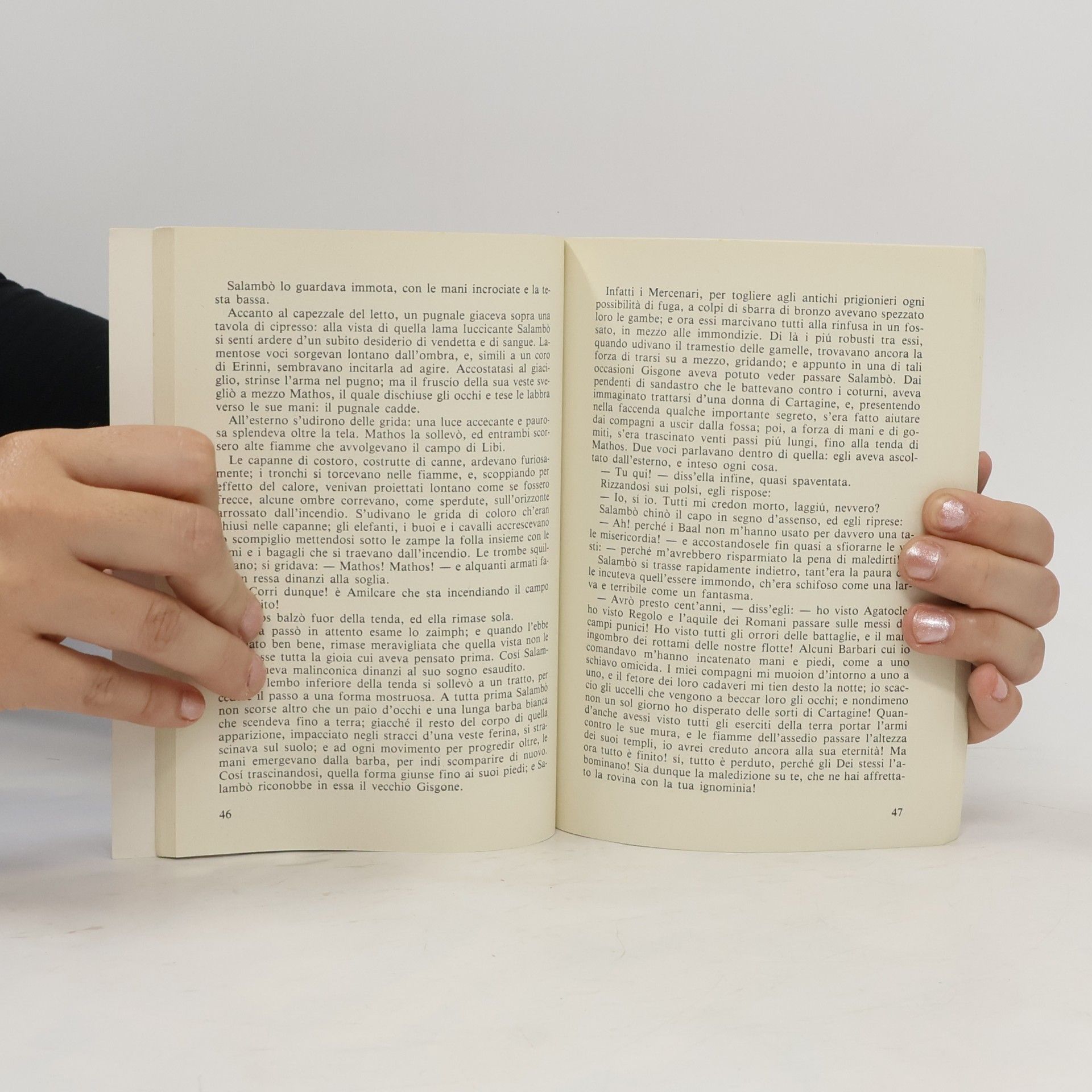 Gustave Flaubert Le cento pagine più belle