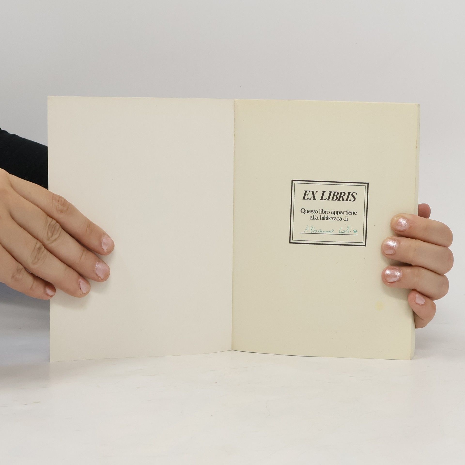 Gustave Flaubert Le cento pagine più belle