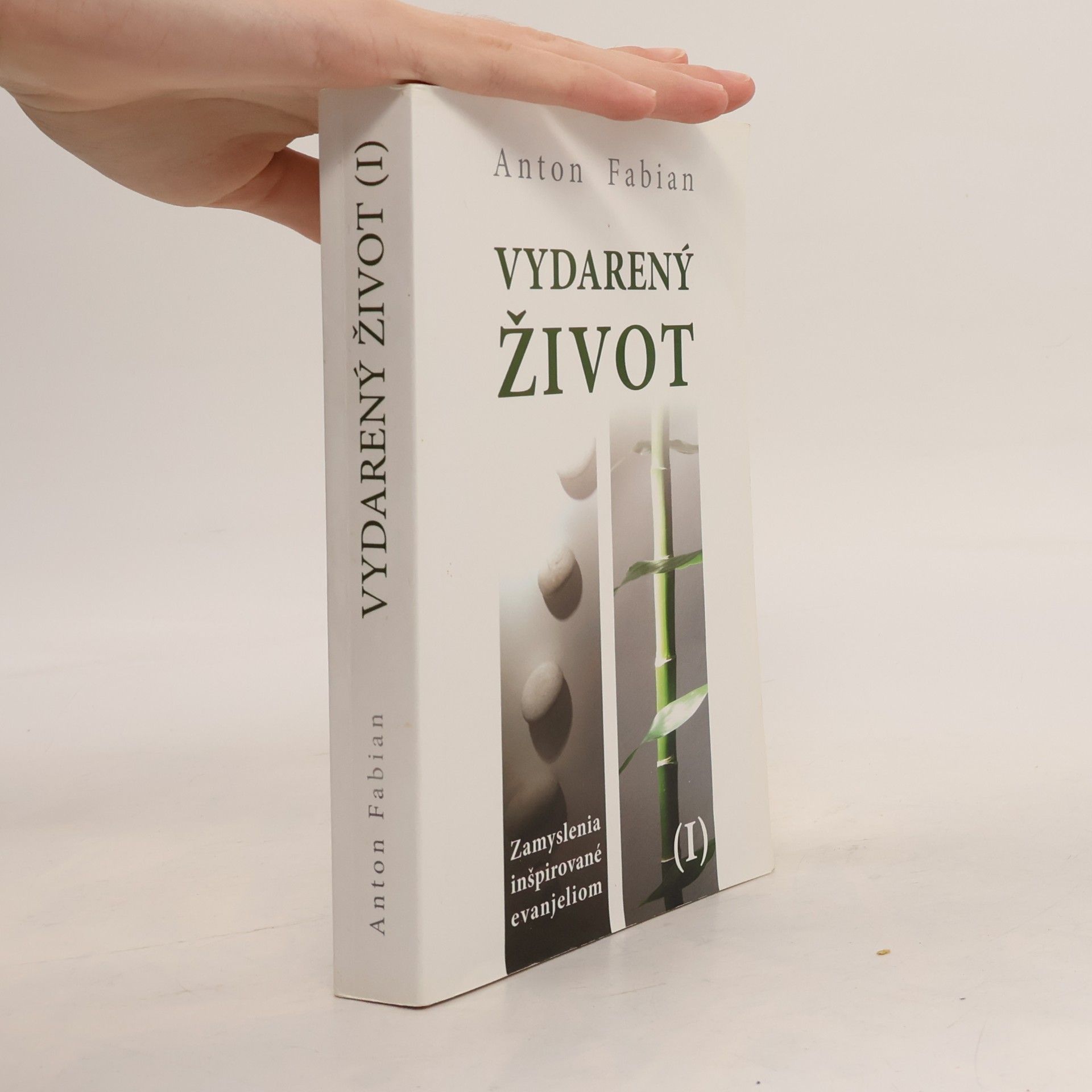 Anton Fabian Vydarený život I.