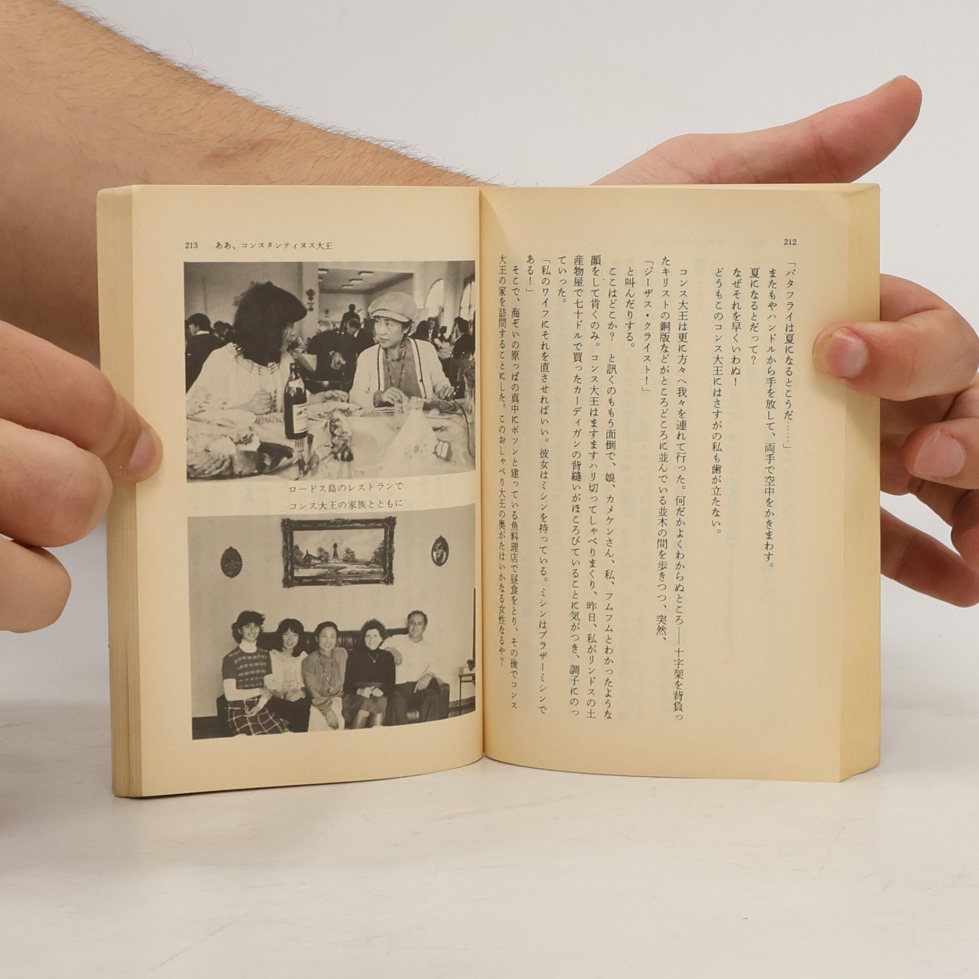 Shueisha Bunko 娘と私のアホ旅行