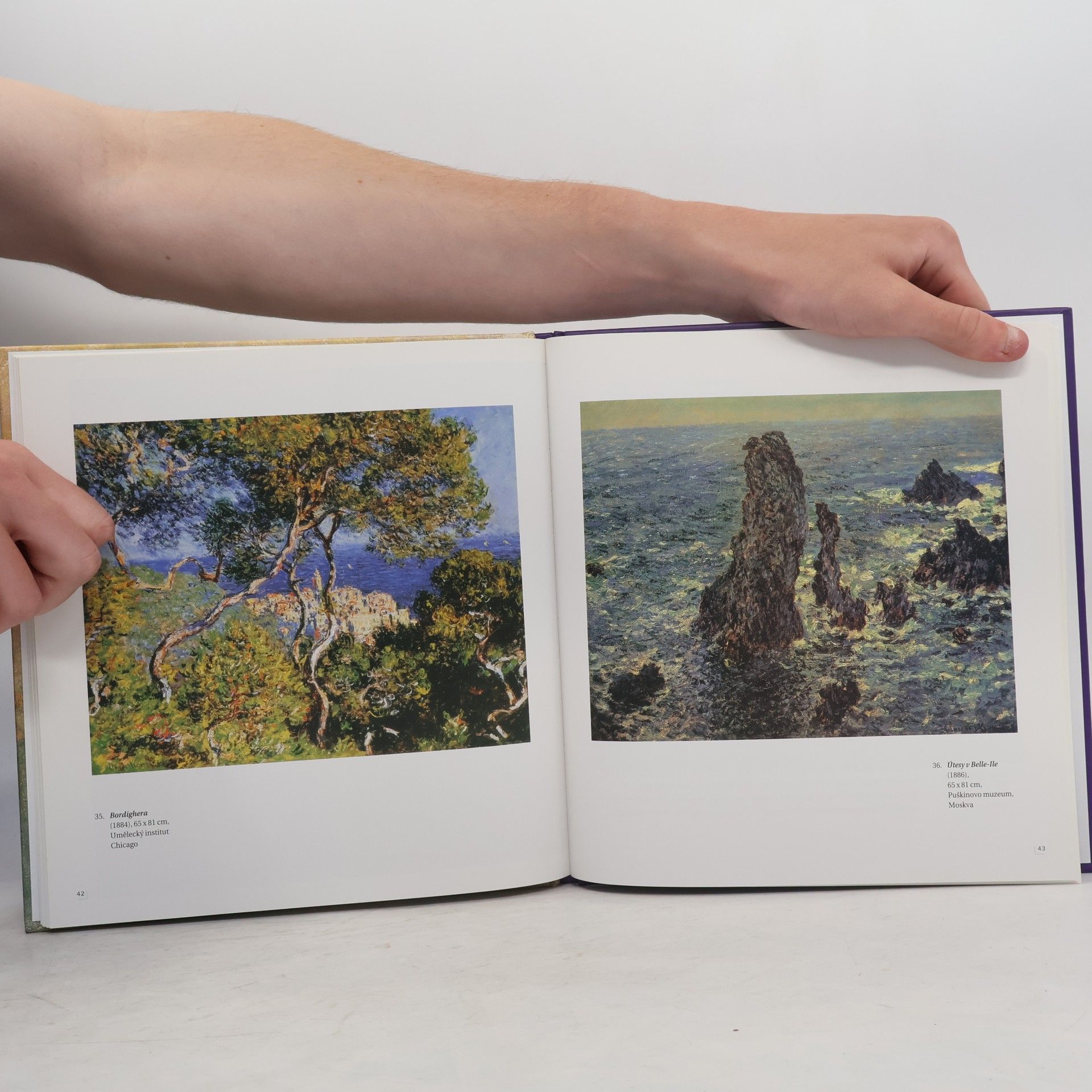Kolektiv autorů Claude Monet