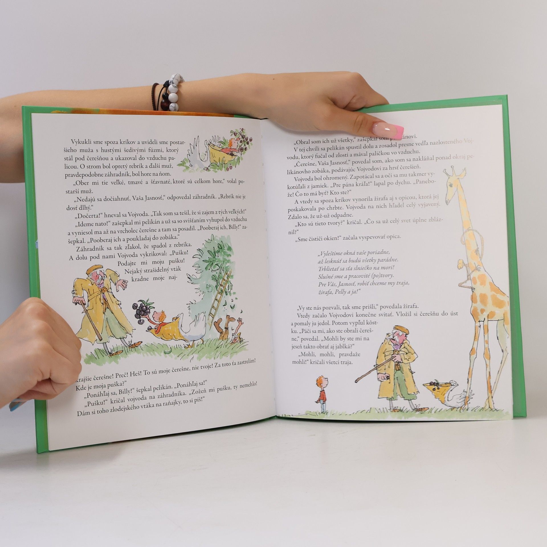 Roald Dahl Žirafa, Pelly a Já