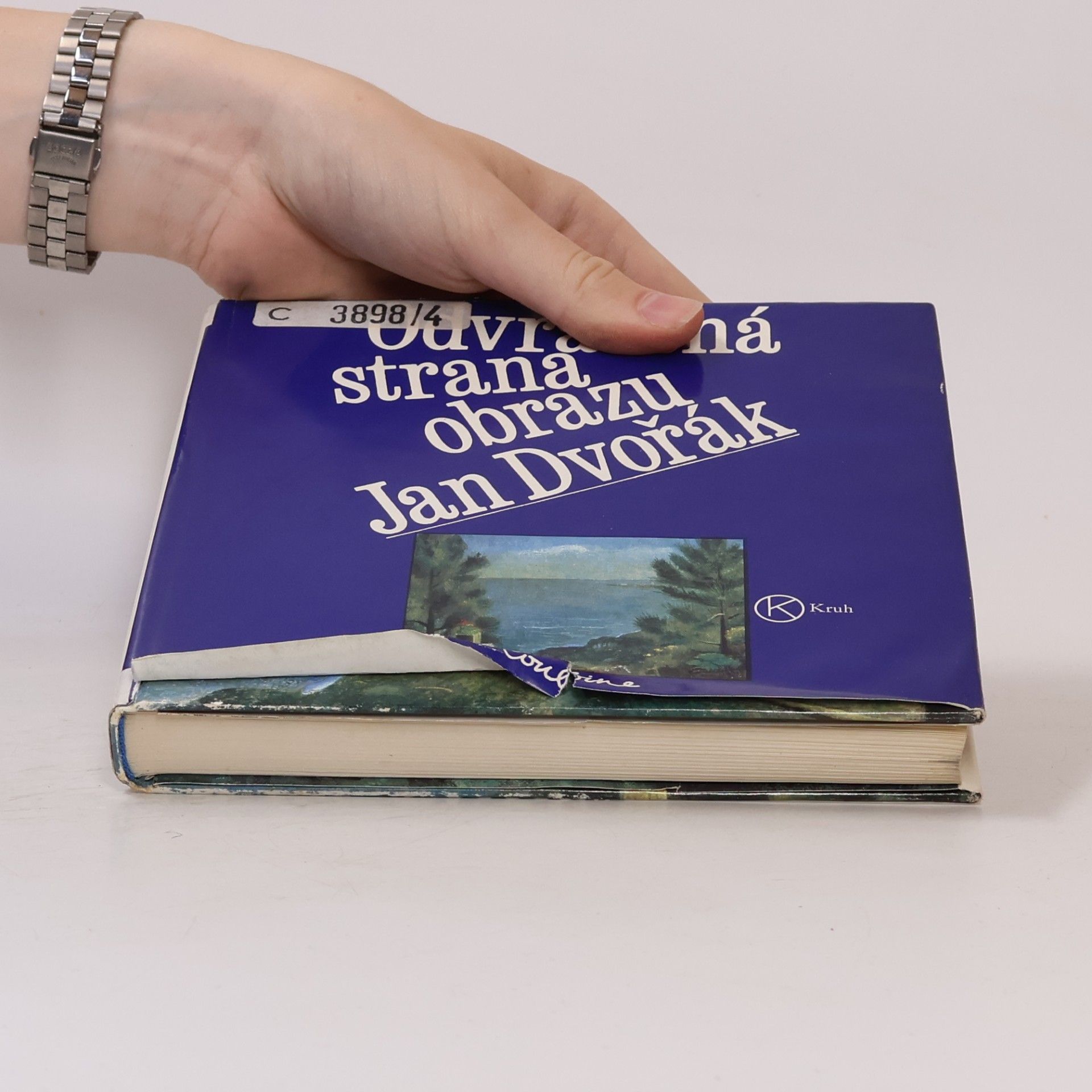 Jan Dvořák Odvrácená strana obrazu