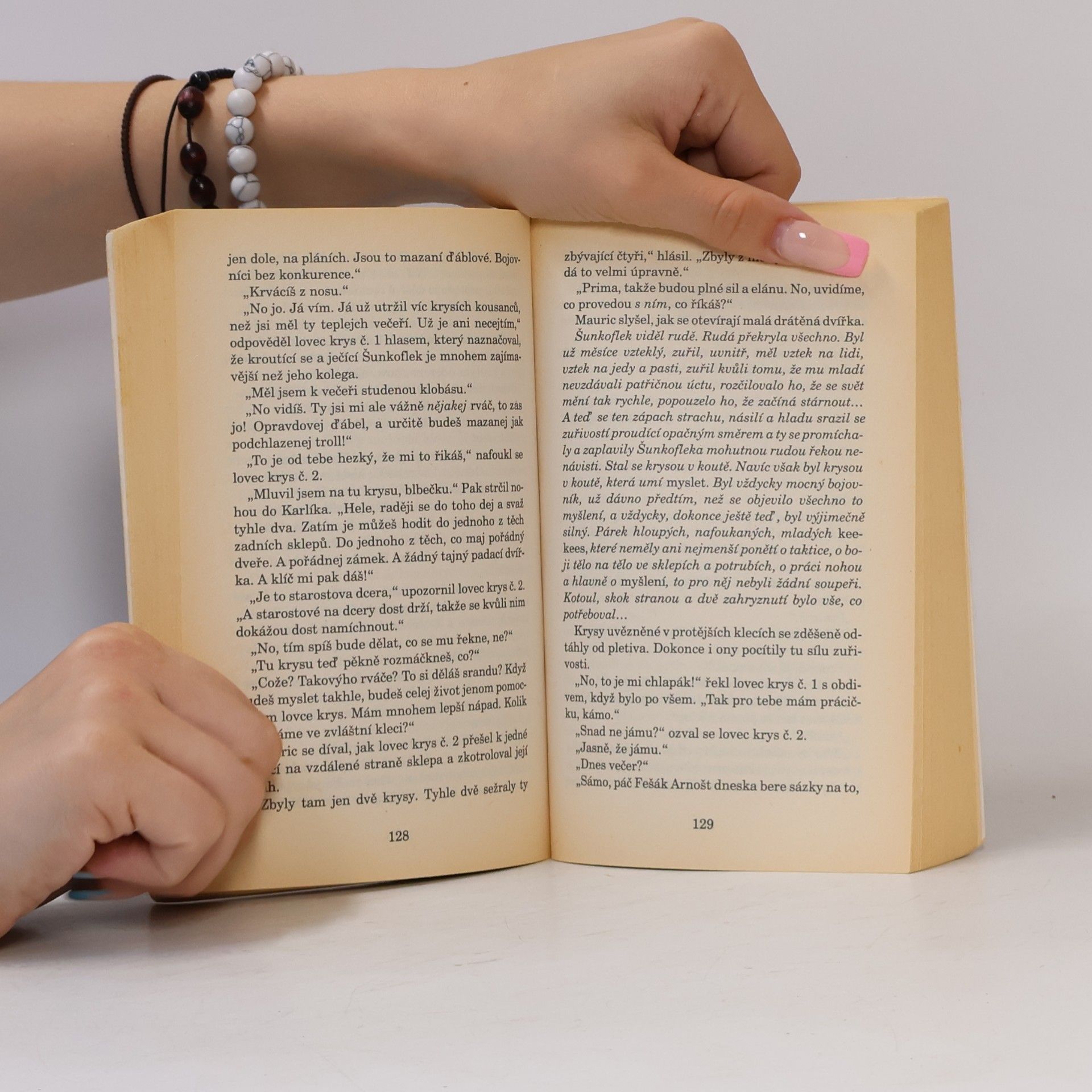 Terry Pratchett Úžasný Mauric a jeho vzdělaní hlodavci