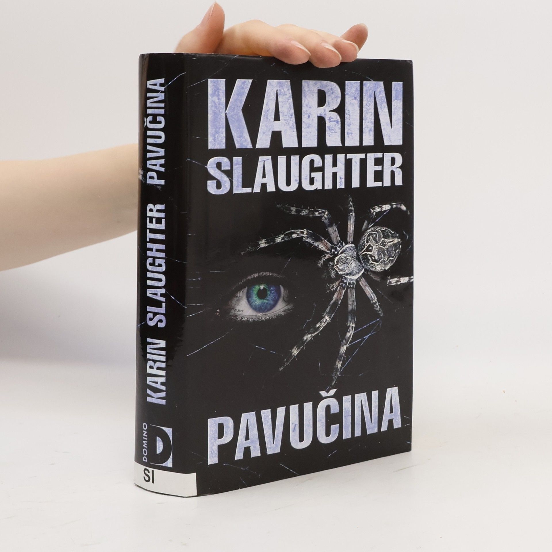 Karin Slaughter Pavučina