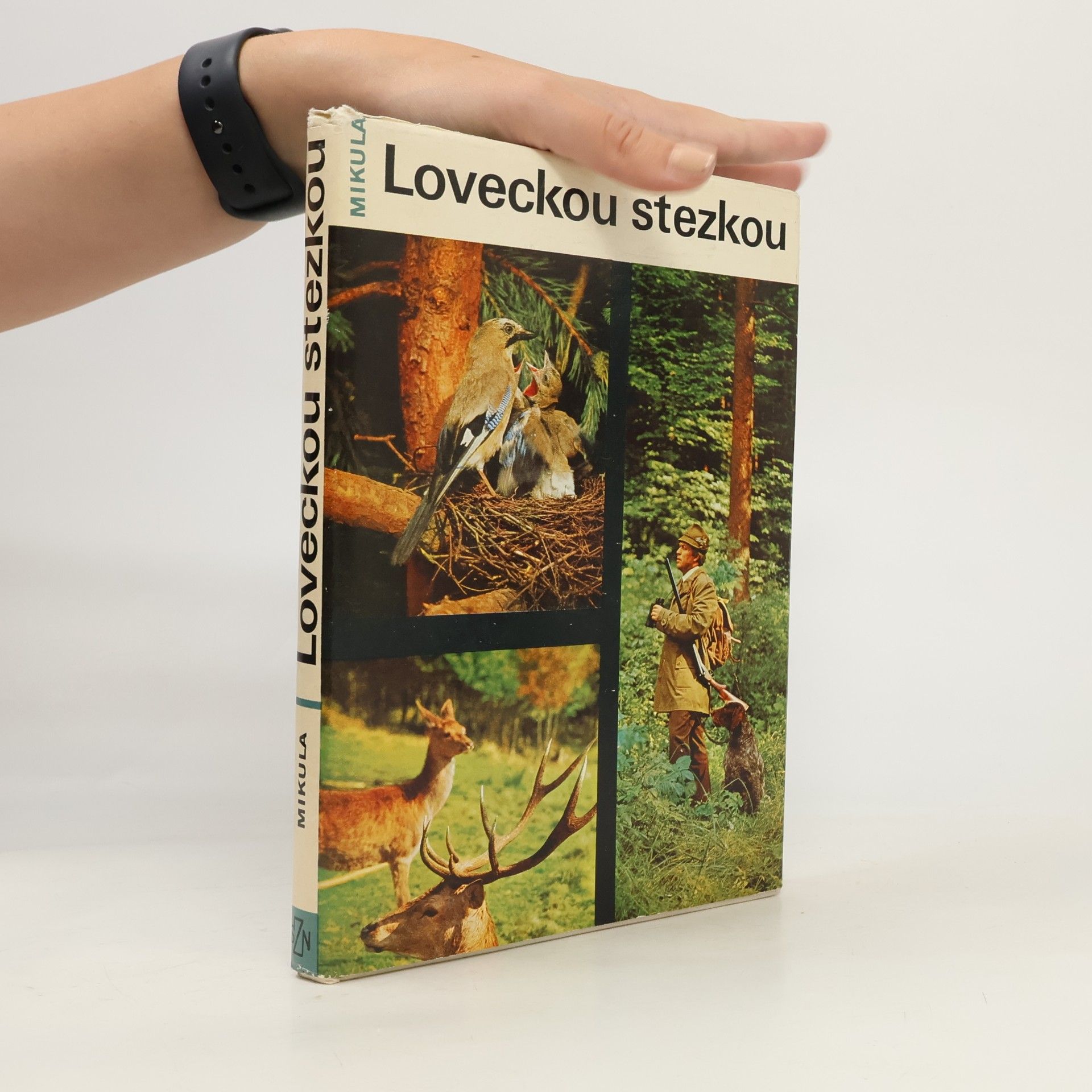 Loveckou stezkou