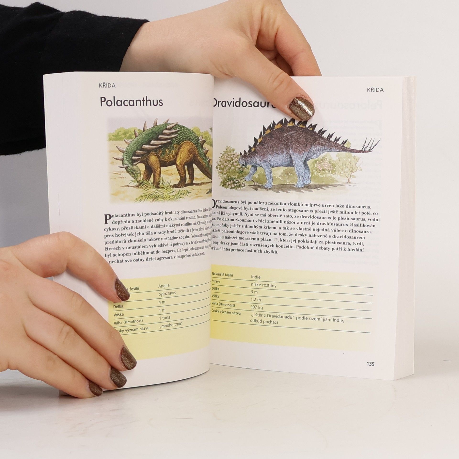 Gerrie McCall Dinosauři. Od Alosaura k Tyranosaurovi