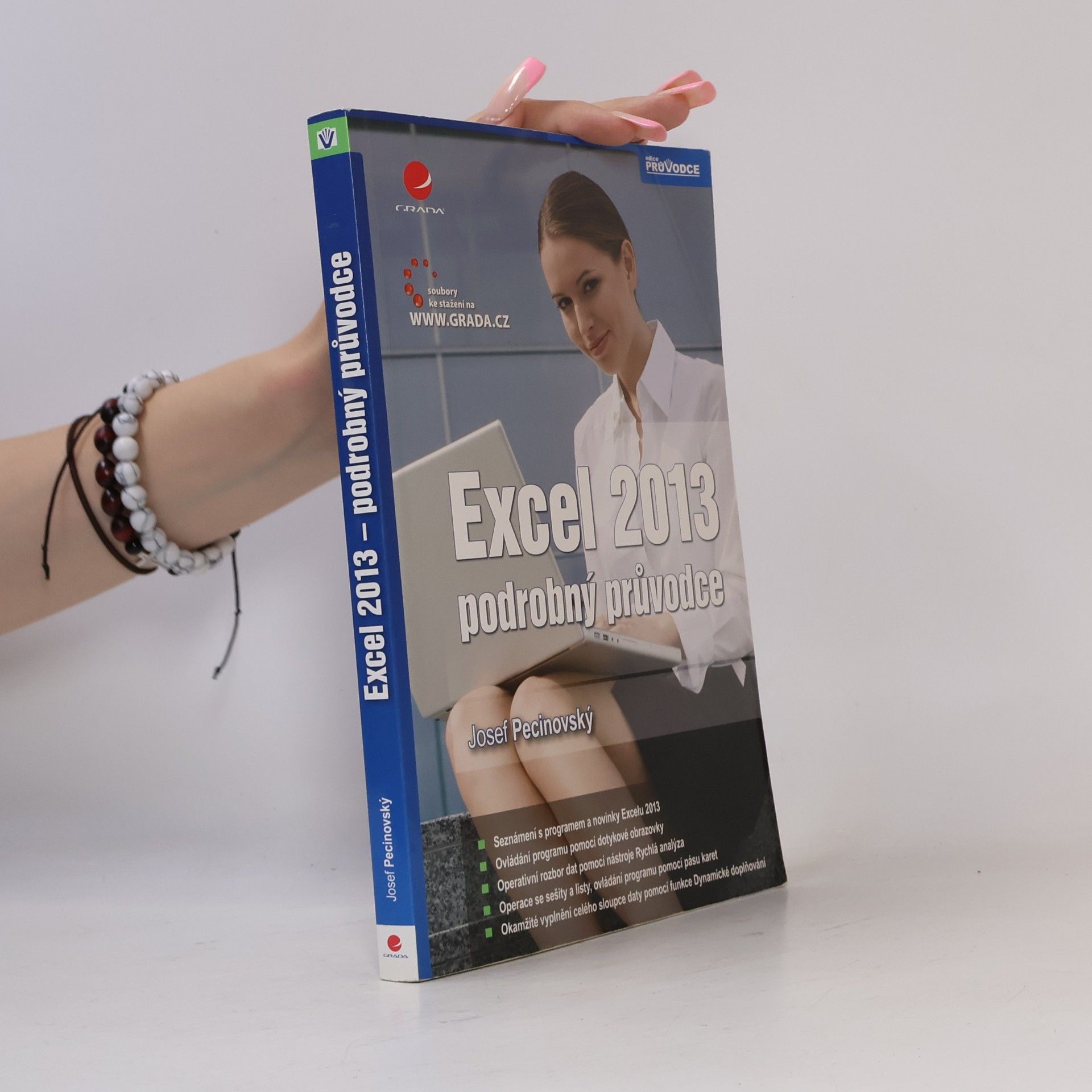 Josef Pecinovský Excel 2013 : podrobný průvodce