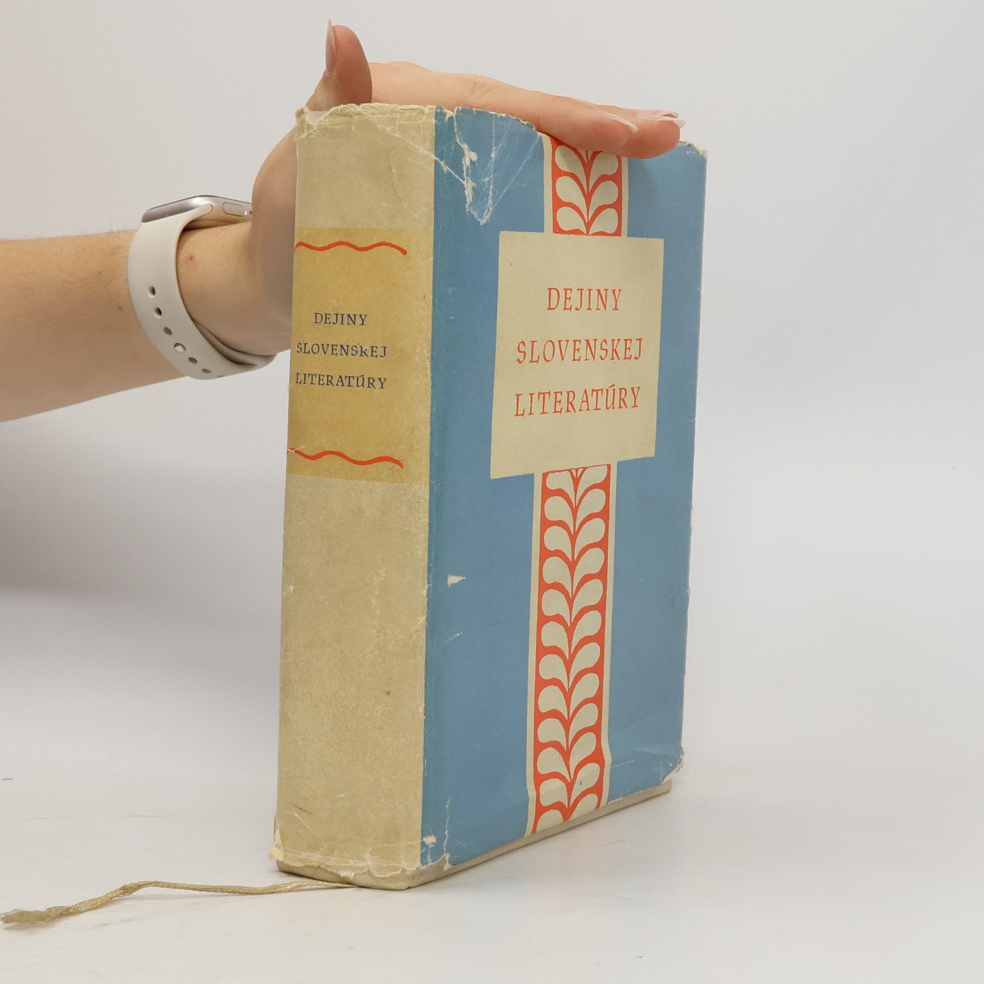 Autorenkollektiv Dejiny slovenskej literatúry