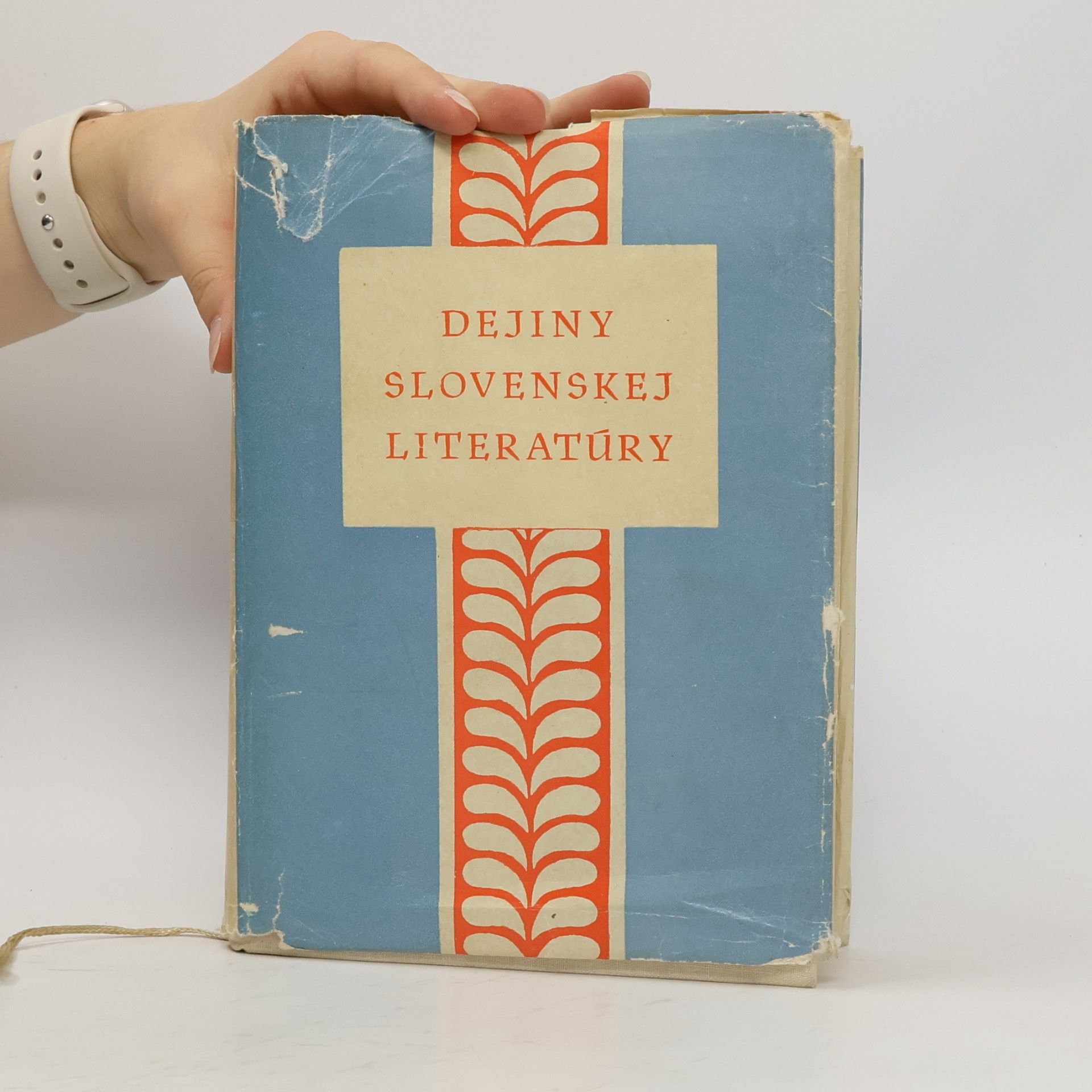 Autorenkollektiv Dejiny slovenskej literatúry