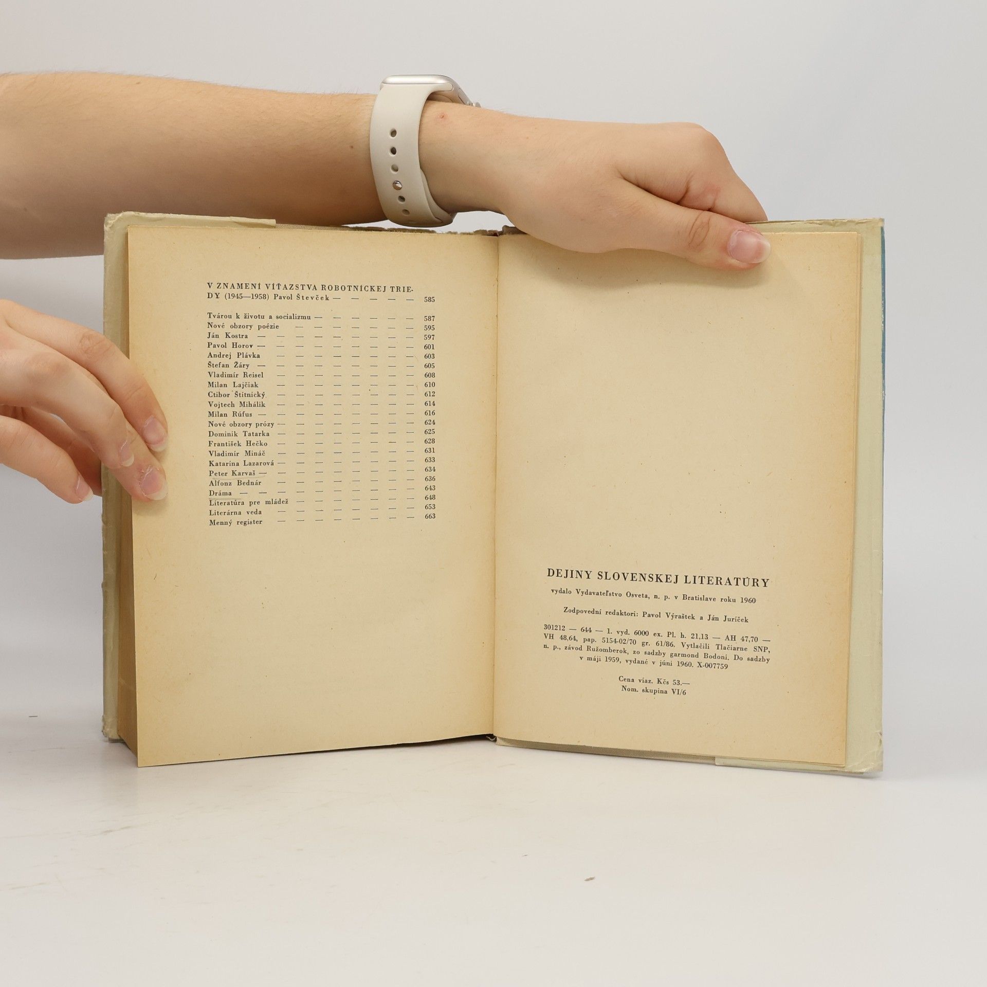 Autorenkollektiv Dejiny slovenskej literatúry