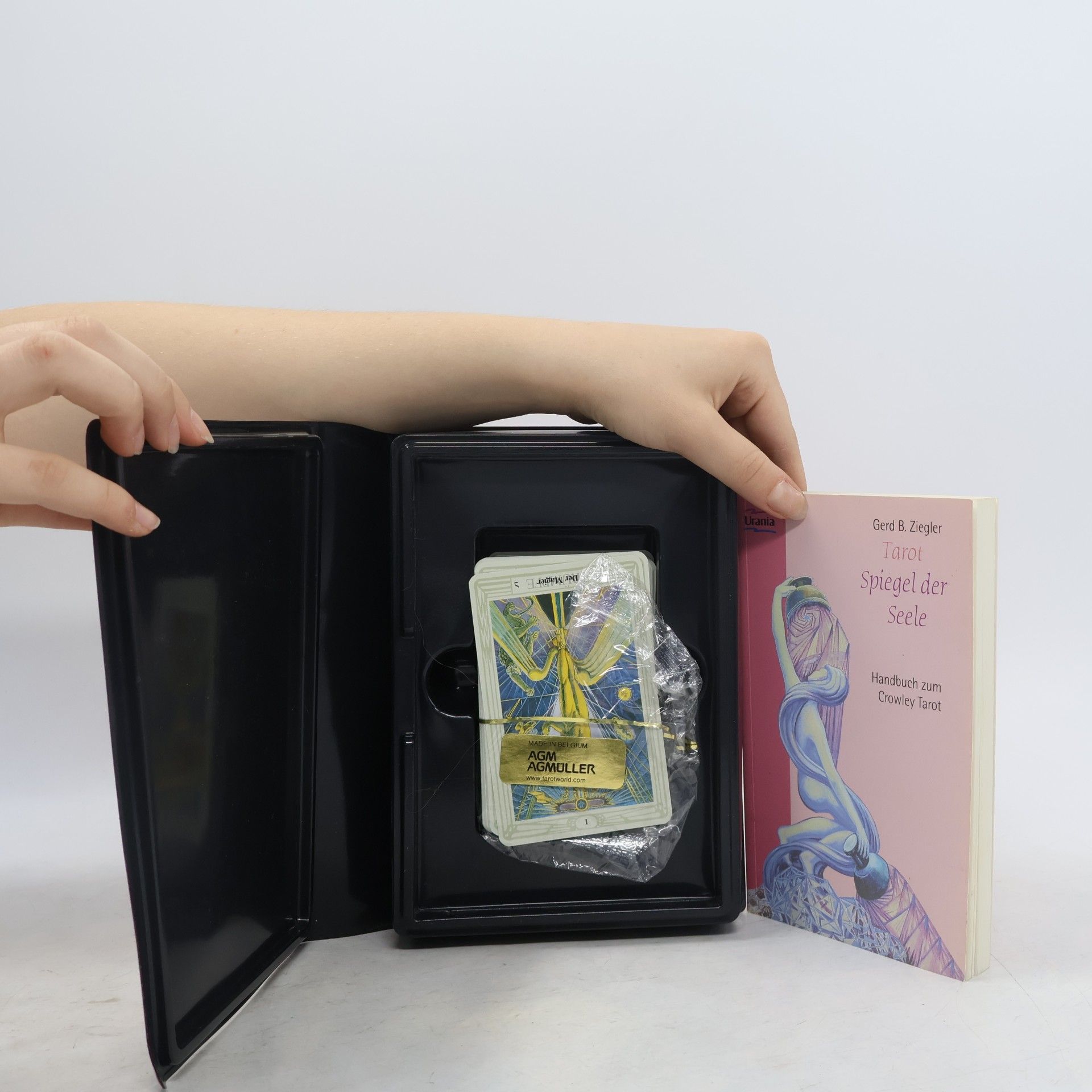 Gerd B: Ziegler Tarot - Spiegel der Seele. Set mit Buch und Karten